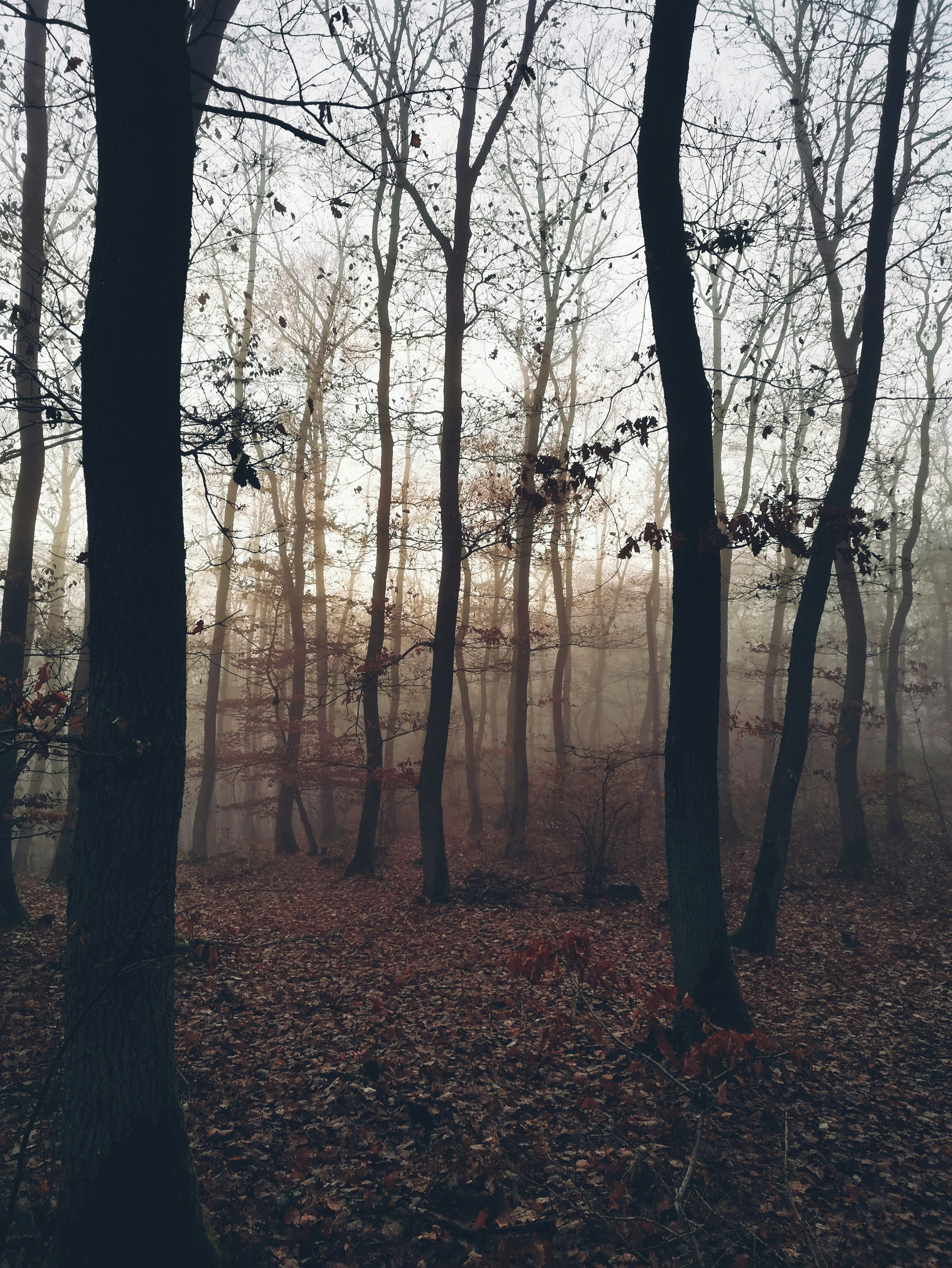 Photo by michael_ender