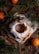 A festive table setting features a bundt cake dusted with powdered sugar, garnished with sprigs of evergreen and slices of orange. The wooden surface is adorned with whole oranges, cinnamon sticks, and star anise, creating a rustic holiday atmosphere.