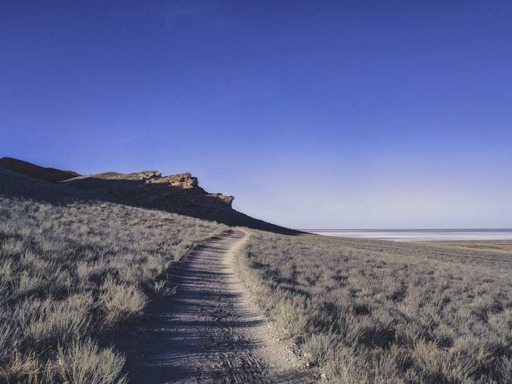 gray road between brown grass field under blue sky during daytime