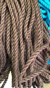 A close-up view of thick, twisted brown ropes hanging down with a background of blue ropes. The texture of the ropes is coarse and they appear to be made of natural fibers.