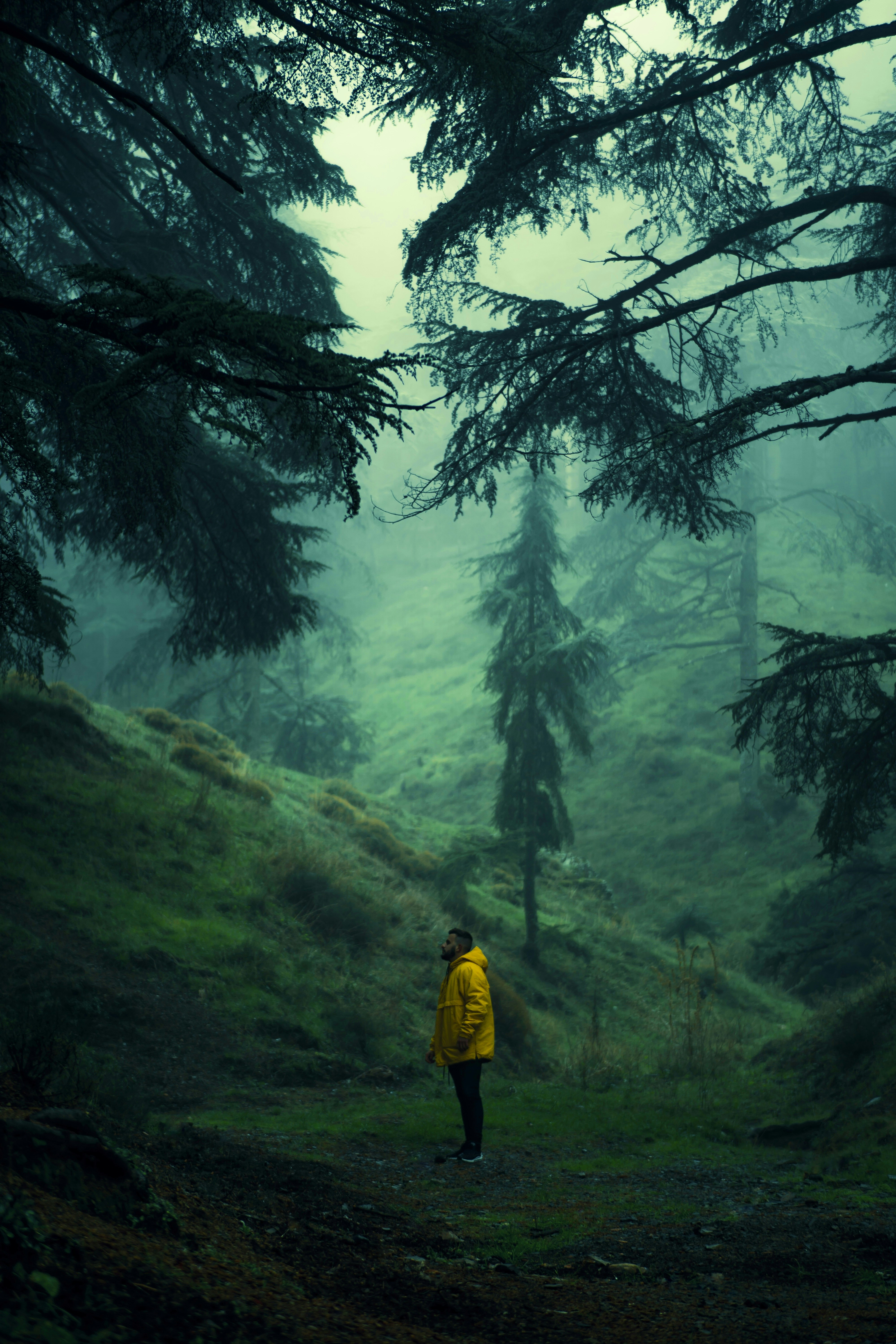 Your Farmers Market Is Running Medieval Software