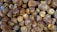 A close-up view of a large number of dried dates, showcasing their wrinkled texture and golden-brown color. The dates are heaped together, filling the entire frame.