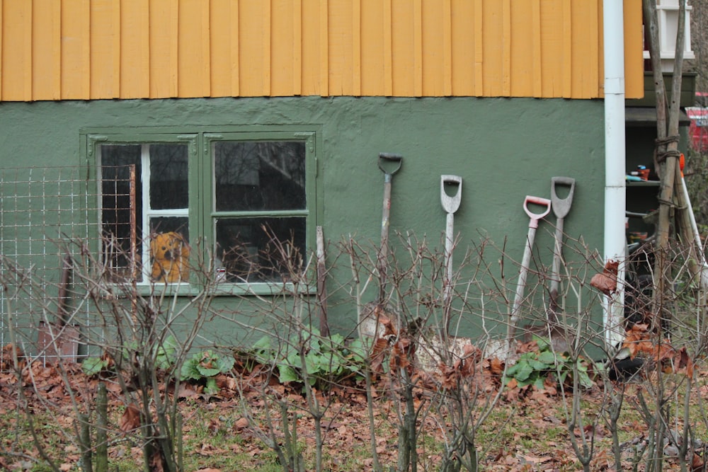 green and white wooden house