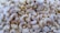 A pile of shelled cashew nuts with a creamy off-white color. The cashews are all similar in shape, with a curved, crescent-like appearance, and are densely packed together.