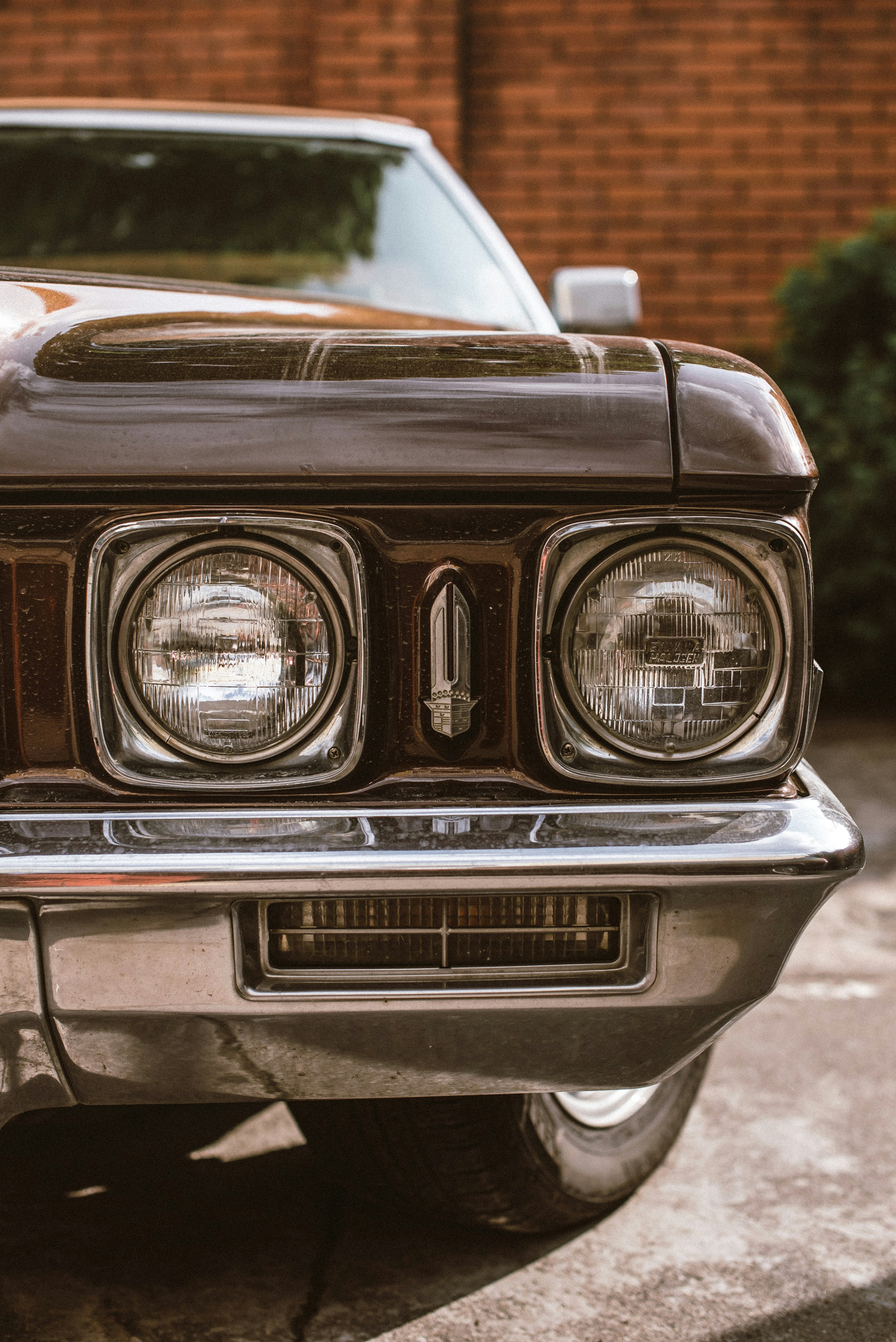 Photo by lubitglazami