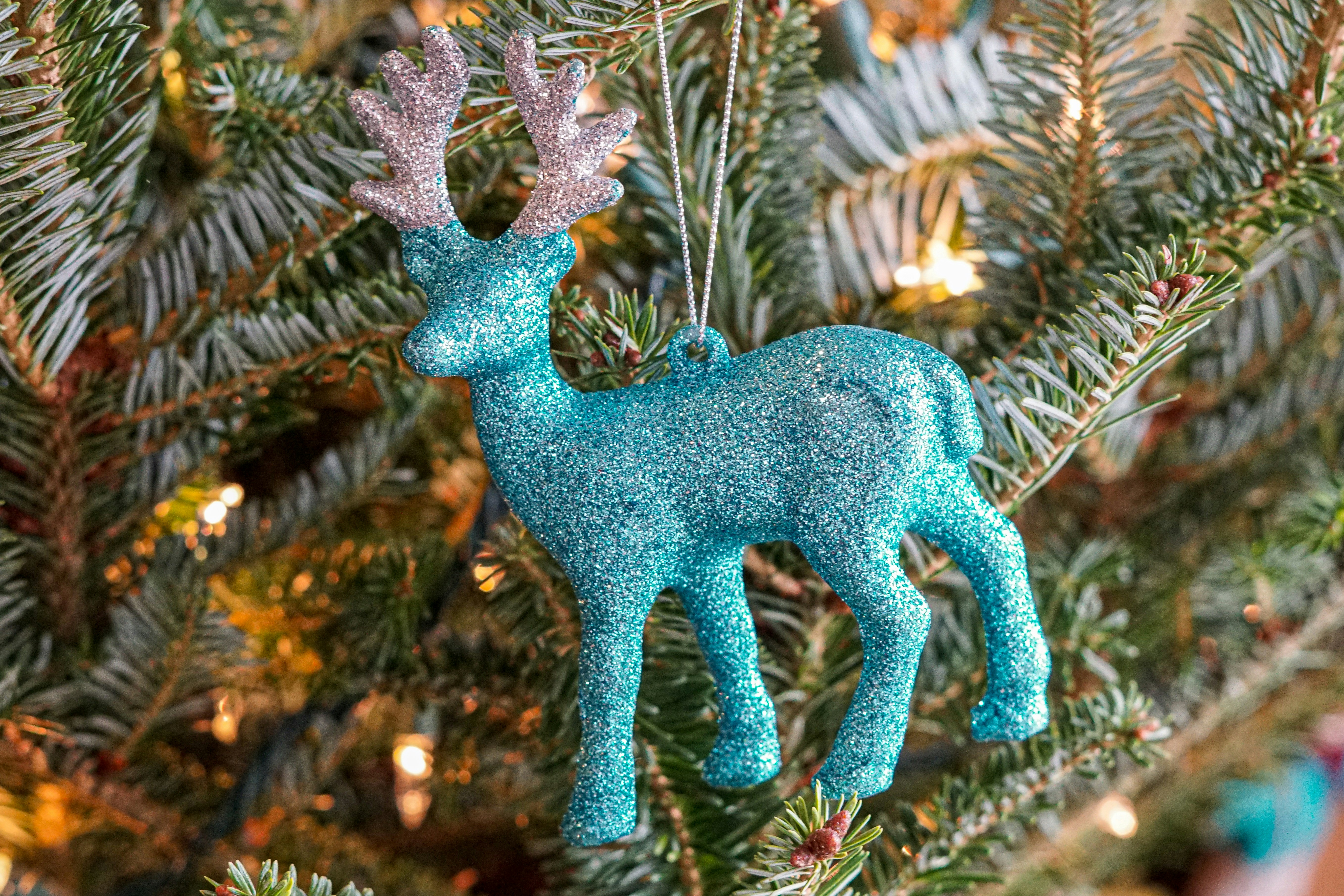 estatueta azul do dragão na planta verde e marrom