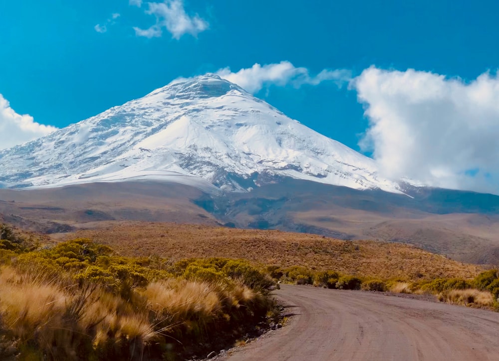 white and black mountain under blue sky during daytime