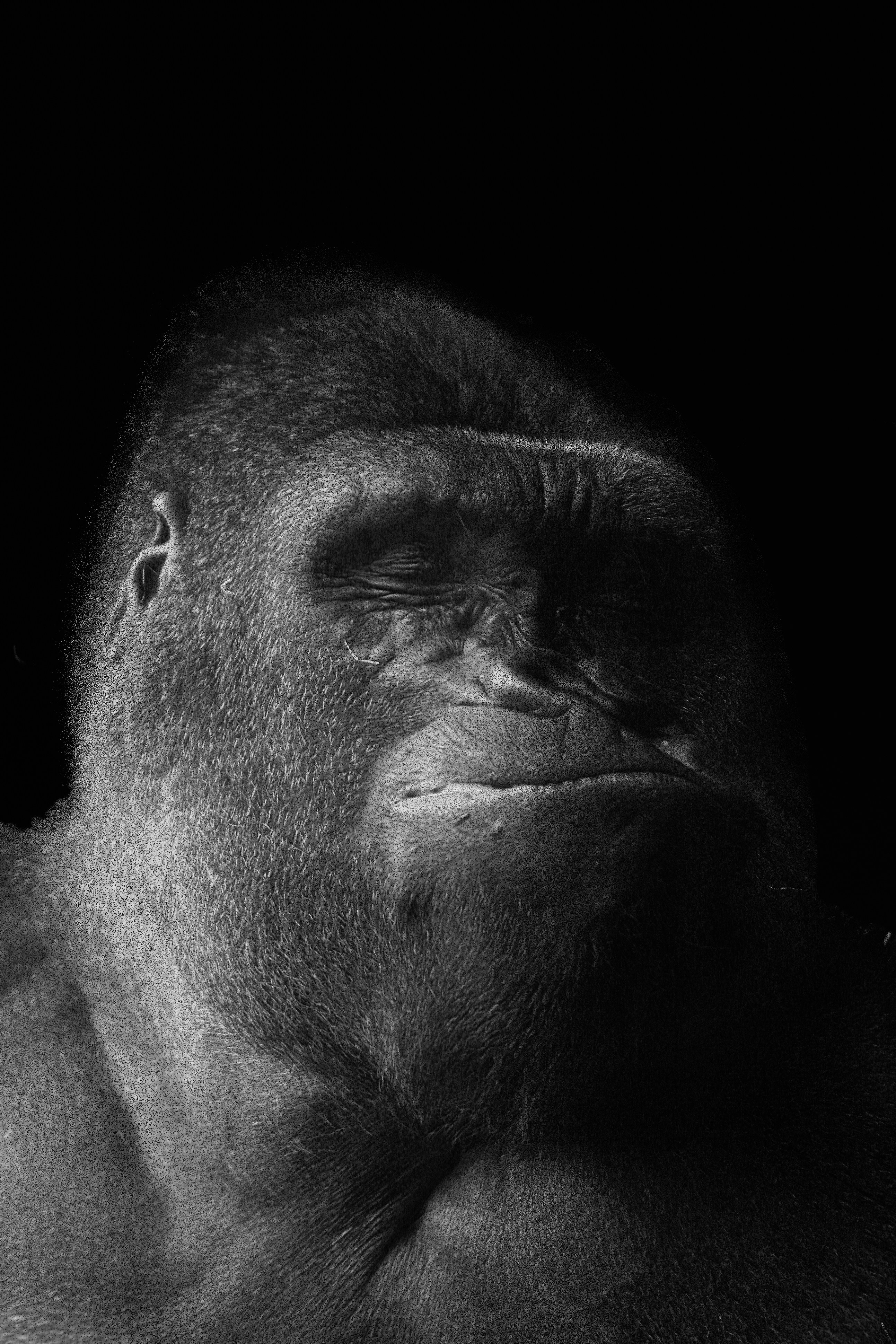 black and white photo of a man