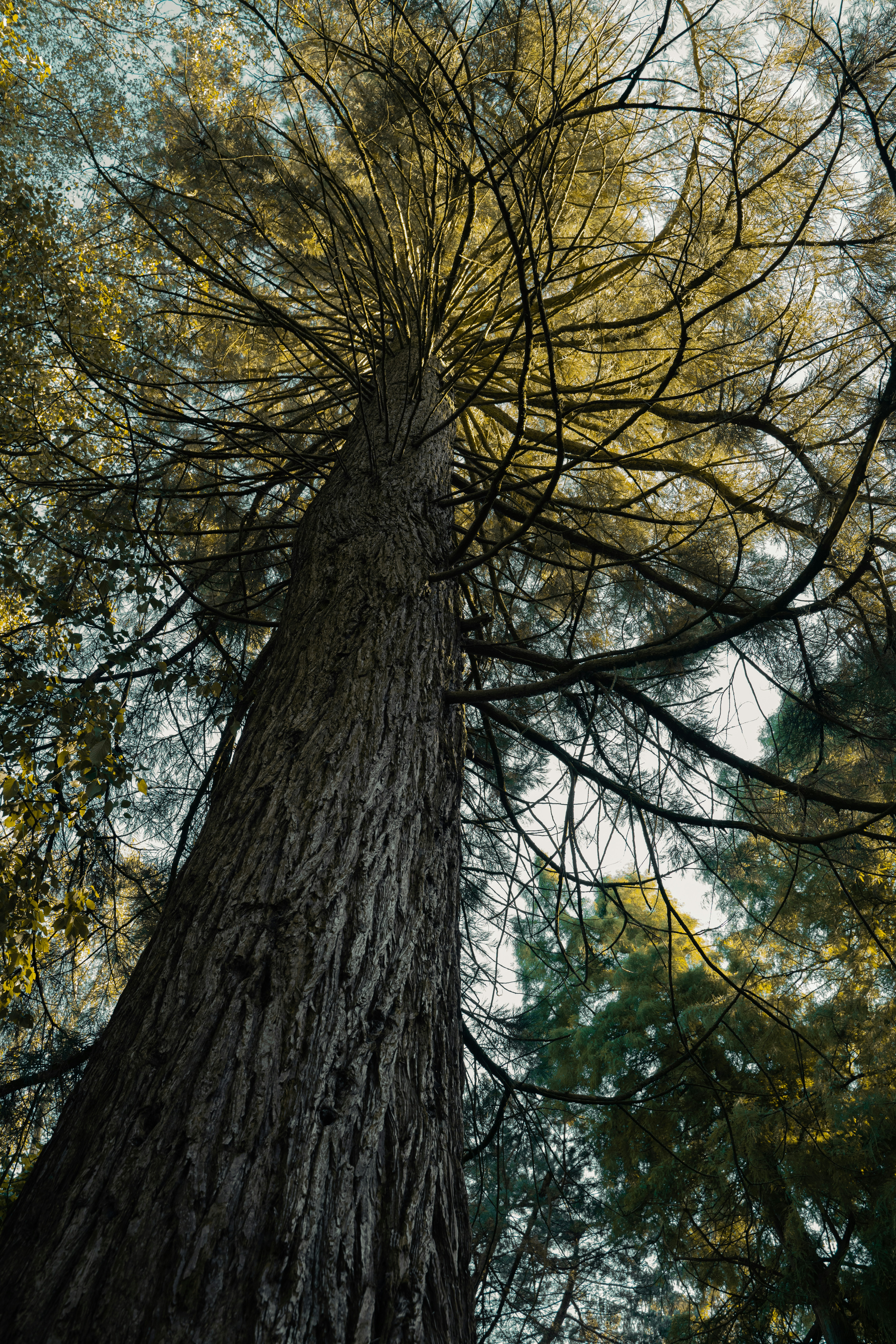 Photo by pieter_benjamin