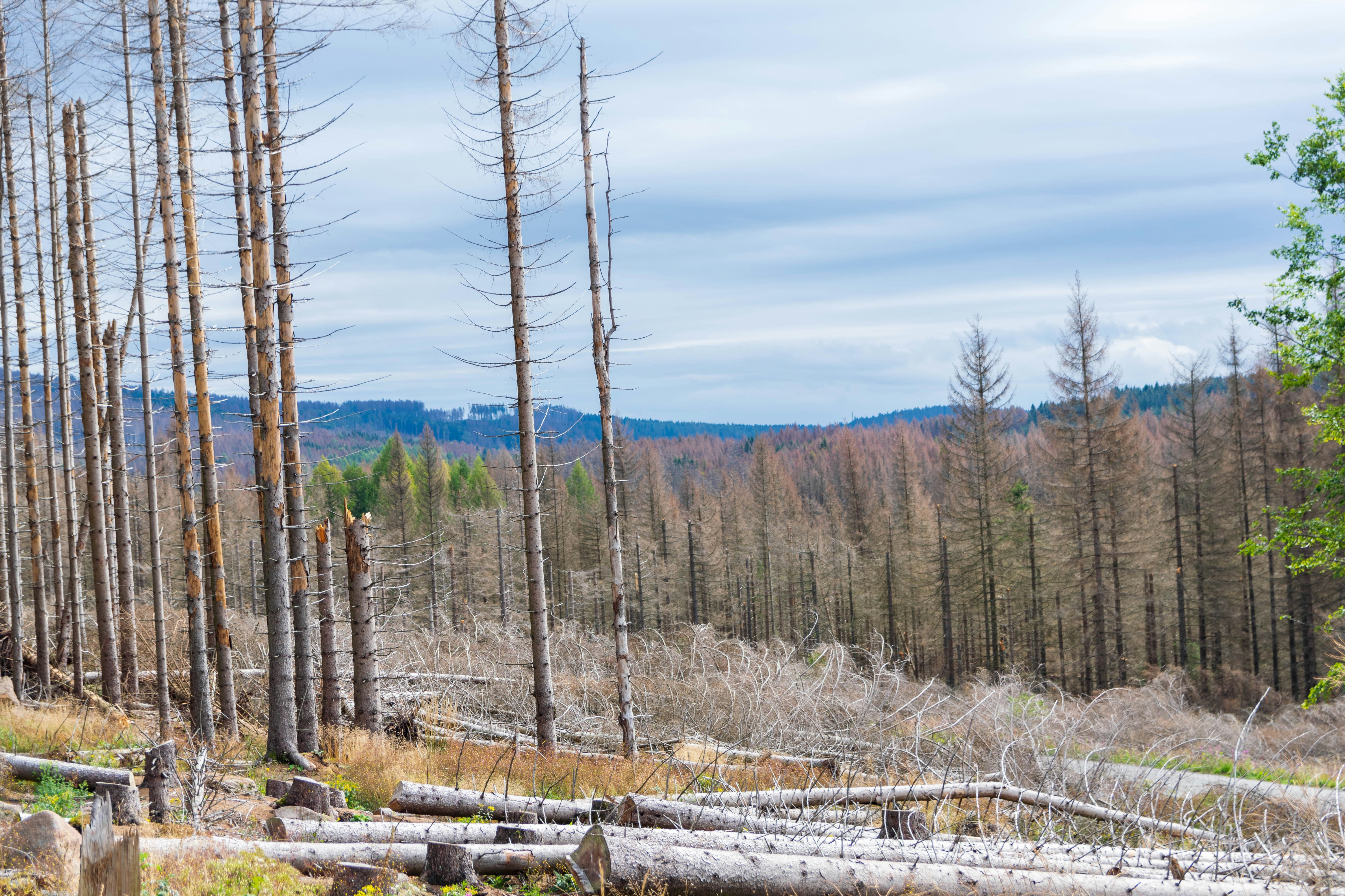 Photo by binekrafczyk