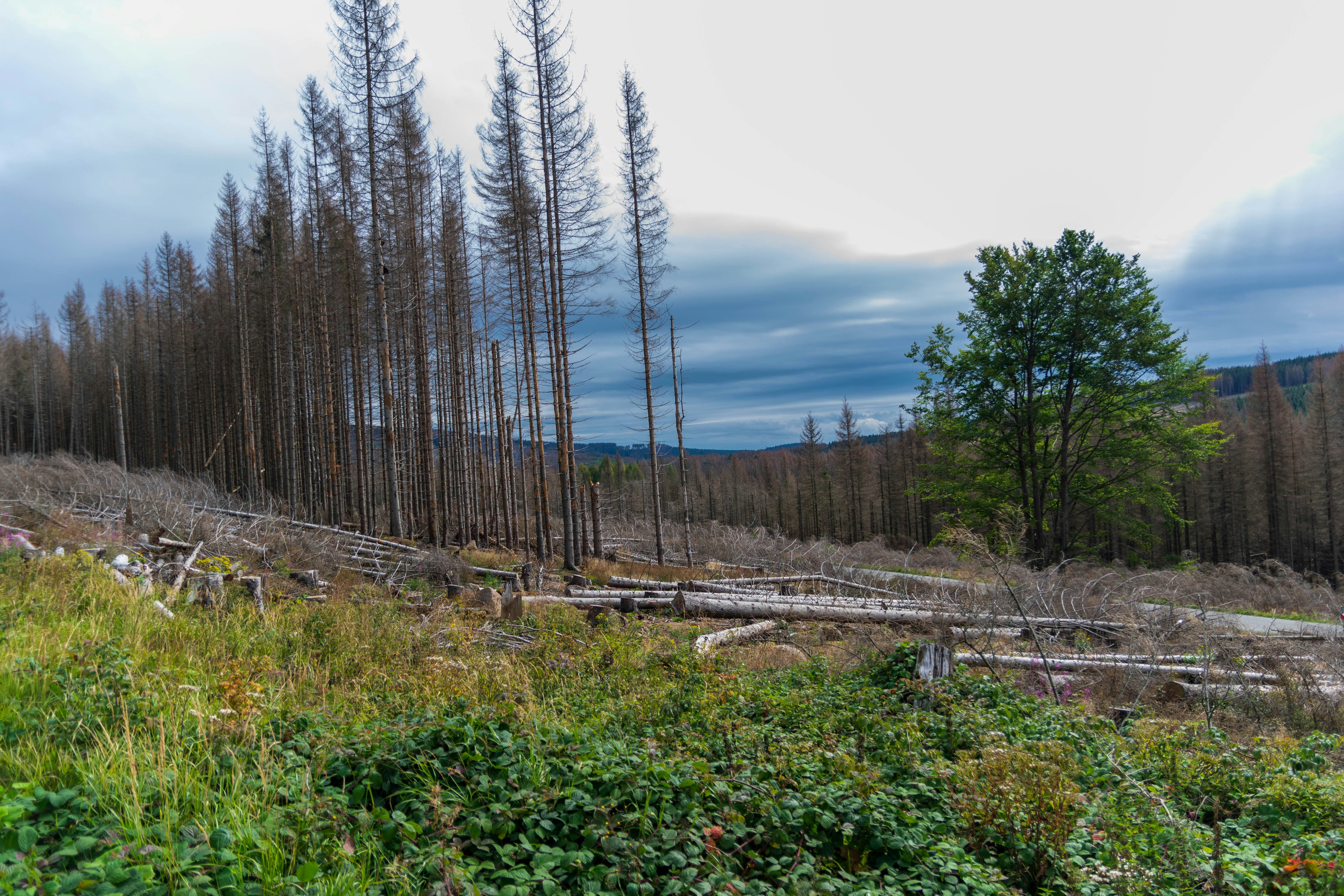Photo by binekrafczyk