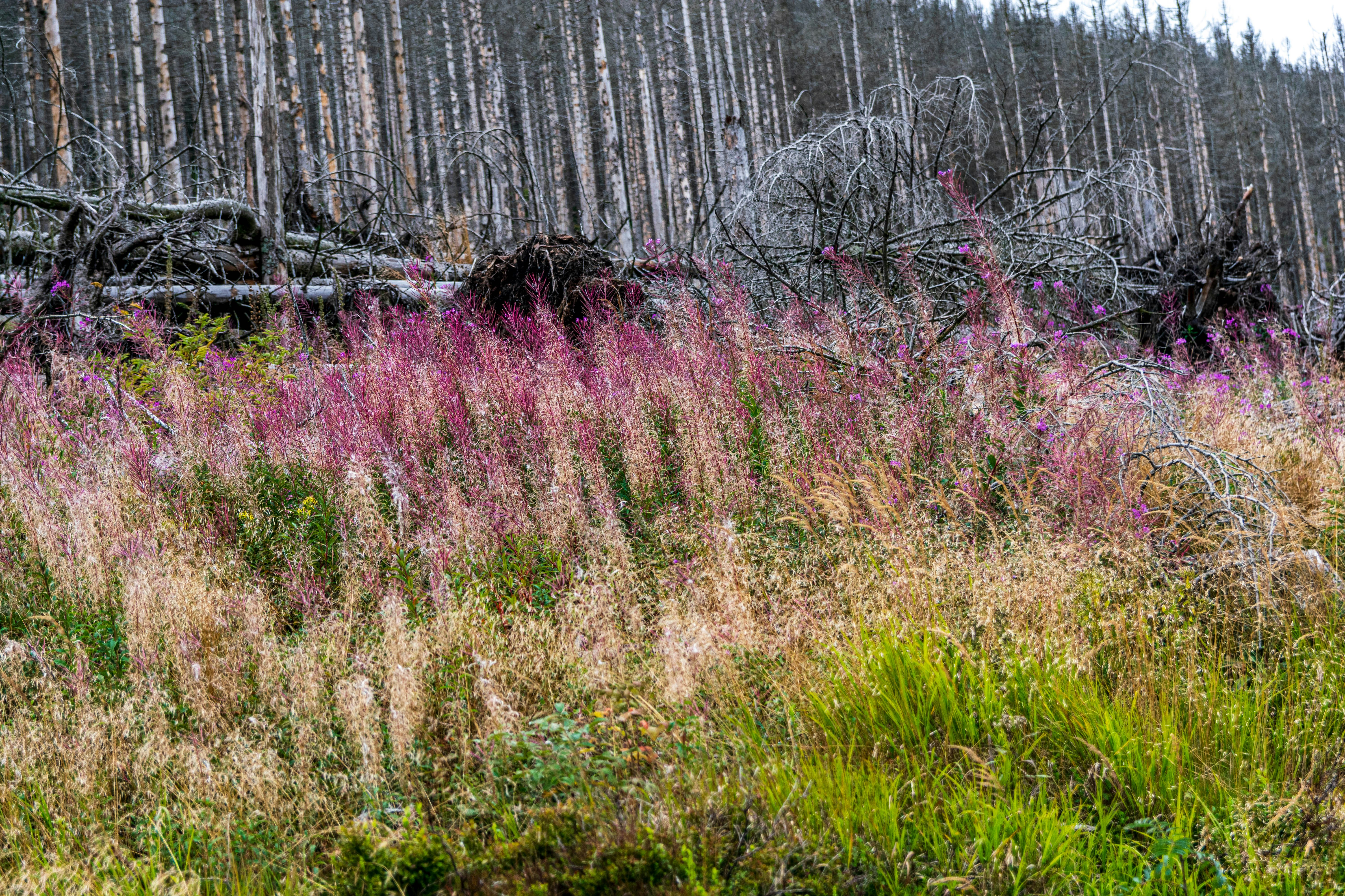 Photo by binekrafczyk