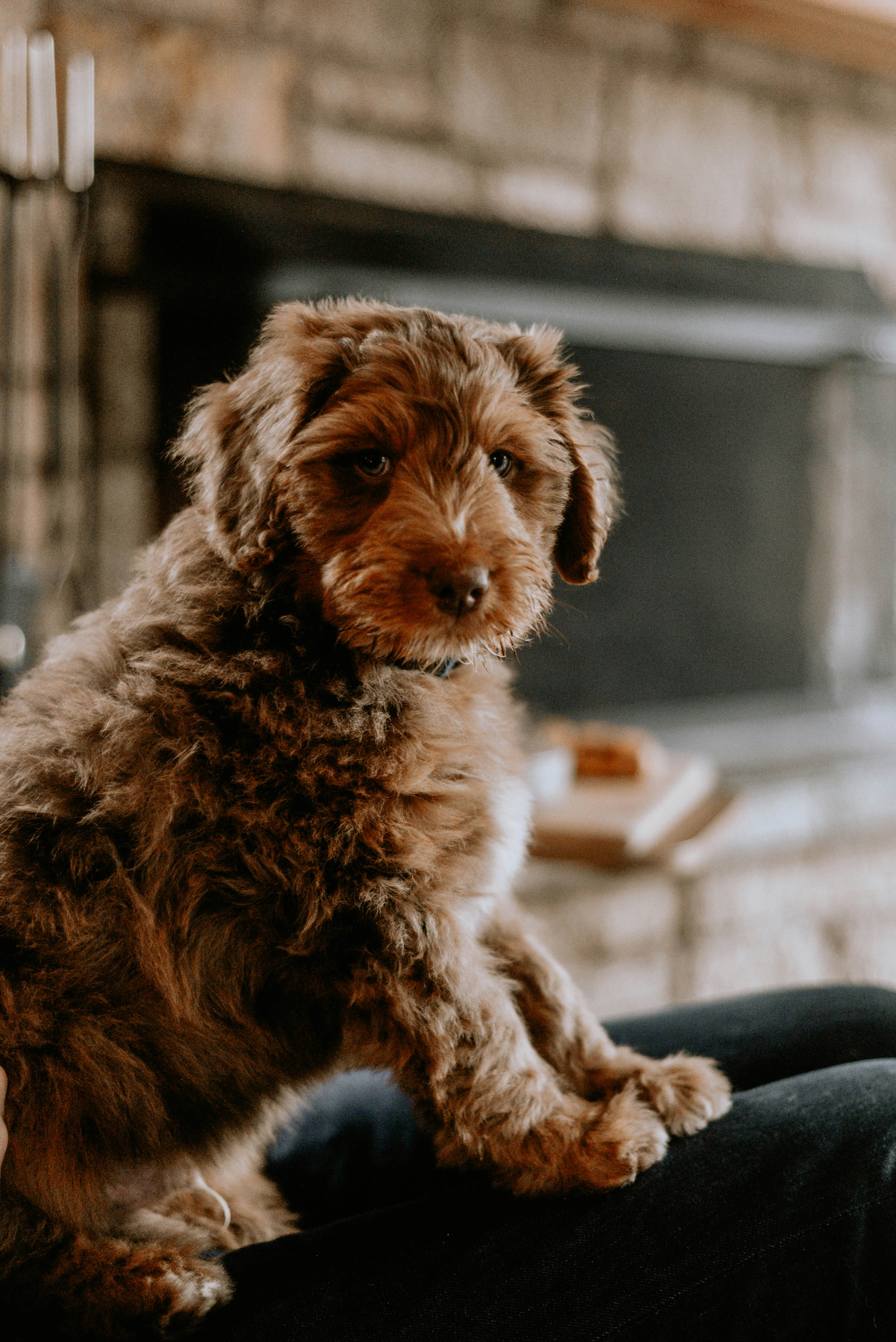 Photo by lorencutler