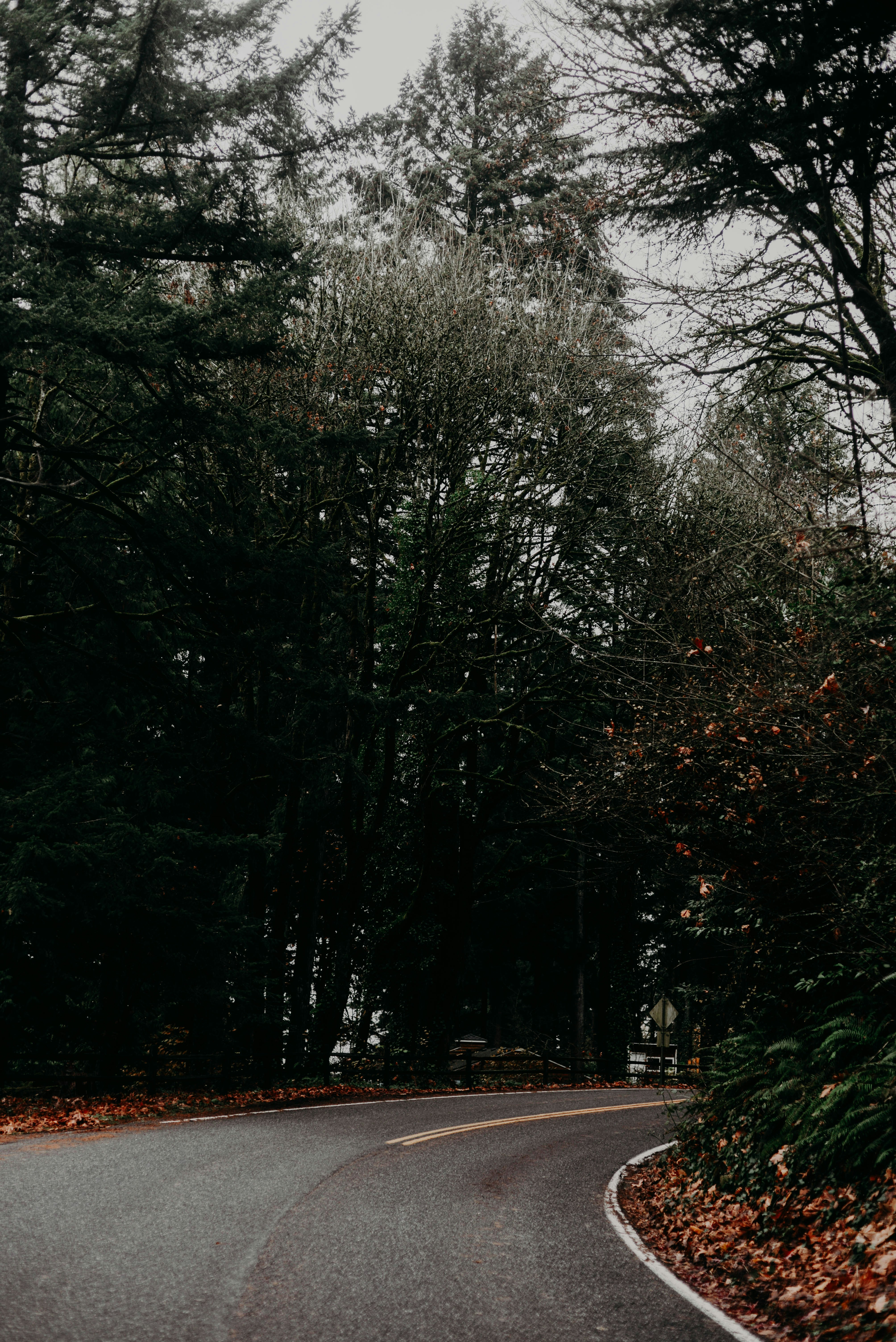 Photo by lorencutler