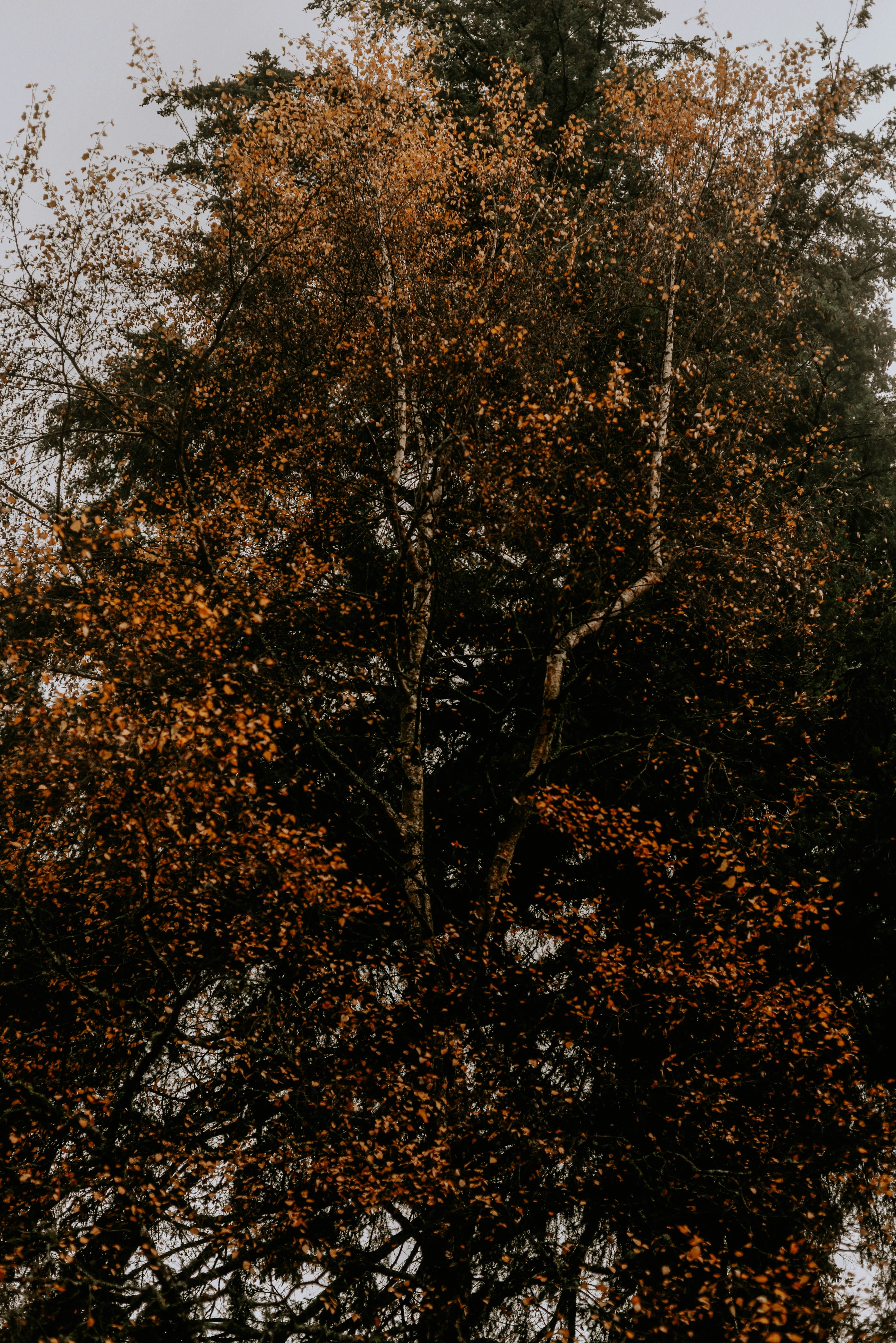 Photo by lorencutler