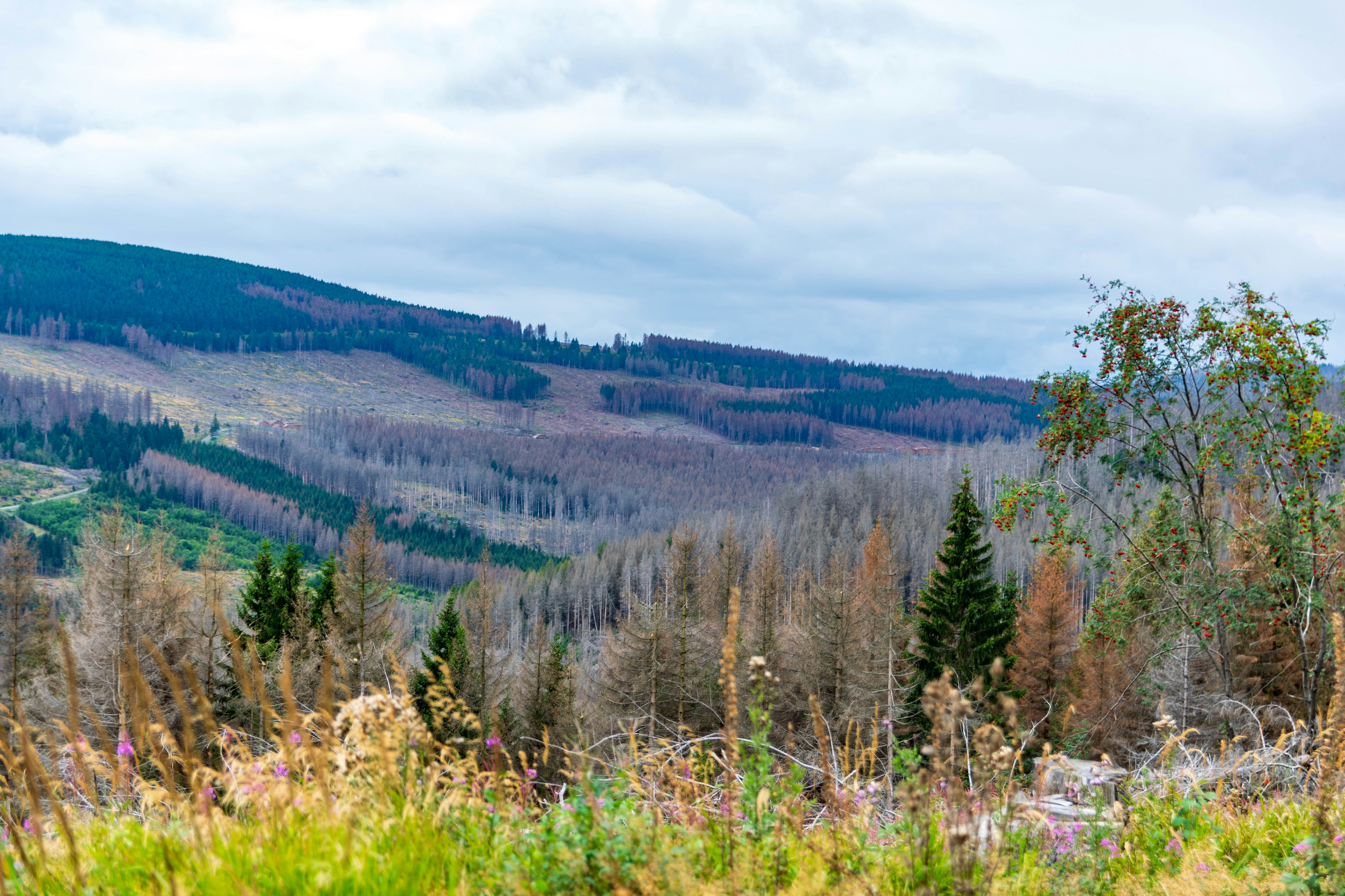 Photo by binekrafczyk