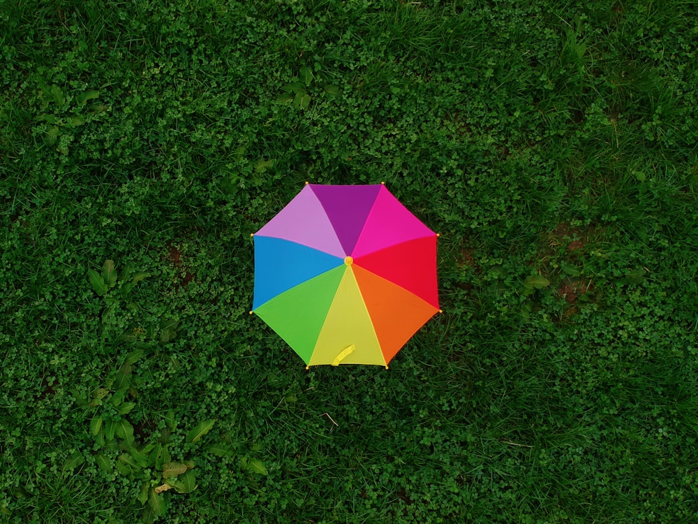 rosagelber und blauer Regenschirm auf grünem Gras