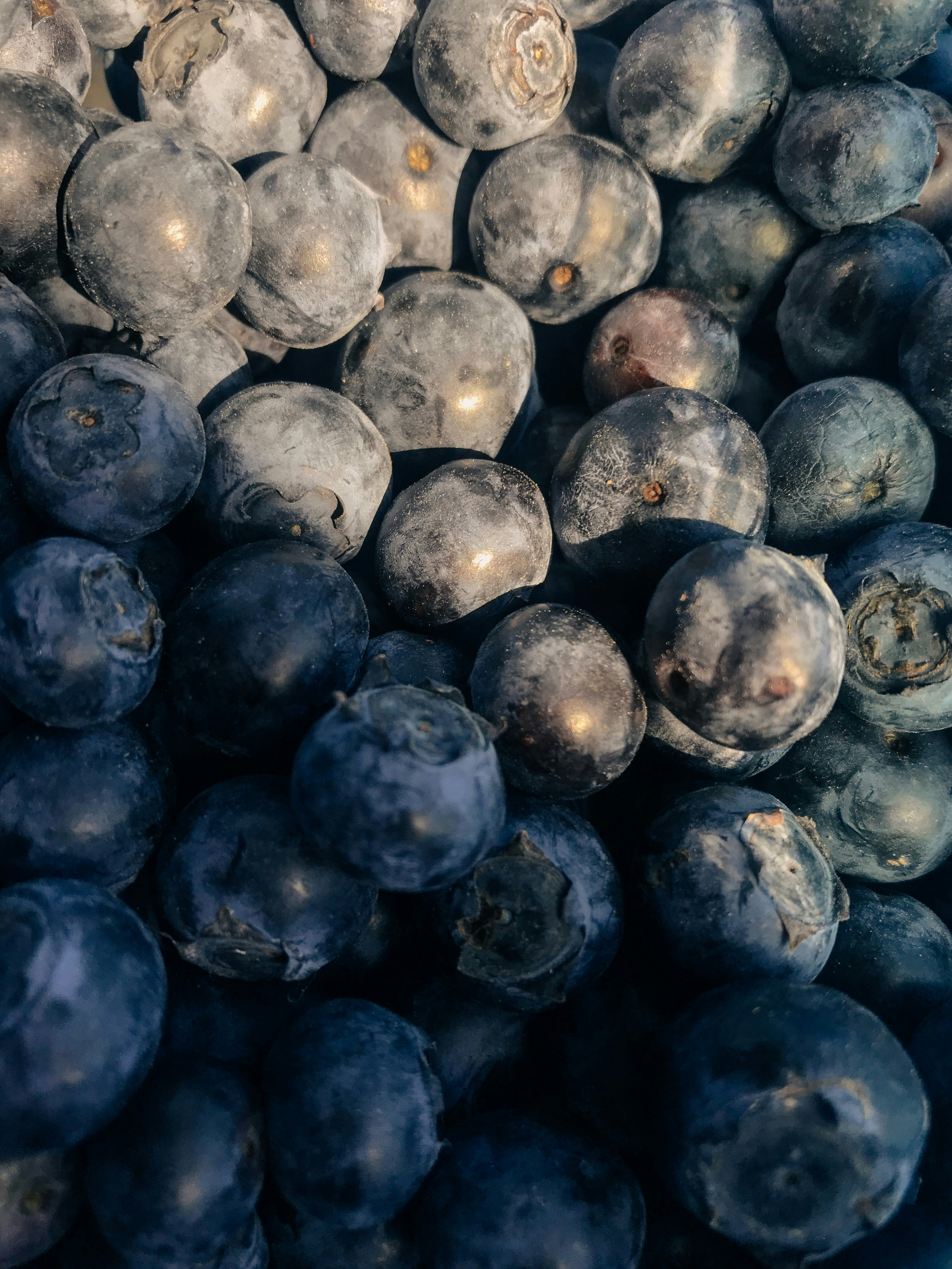 Blueberries: How to Choose, Store, Cook, and Grow Them