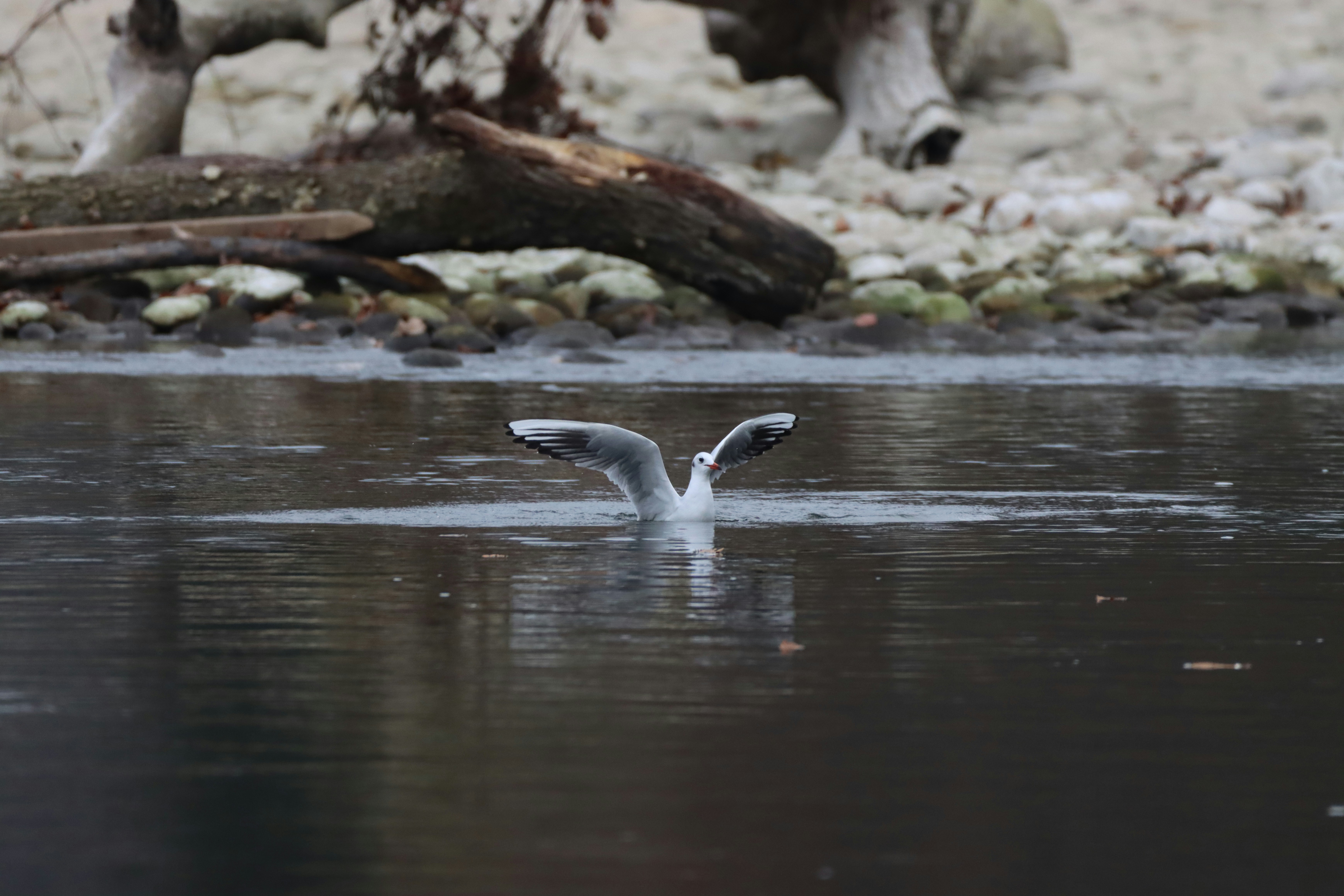 Photo by photasticlab