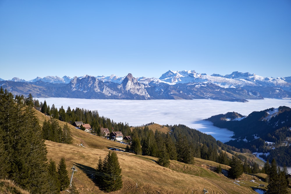 green trees on mountain under blue sky during daytime