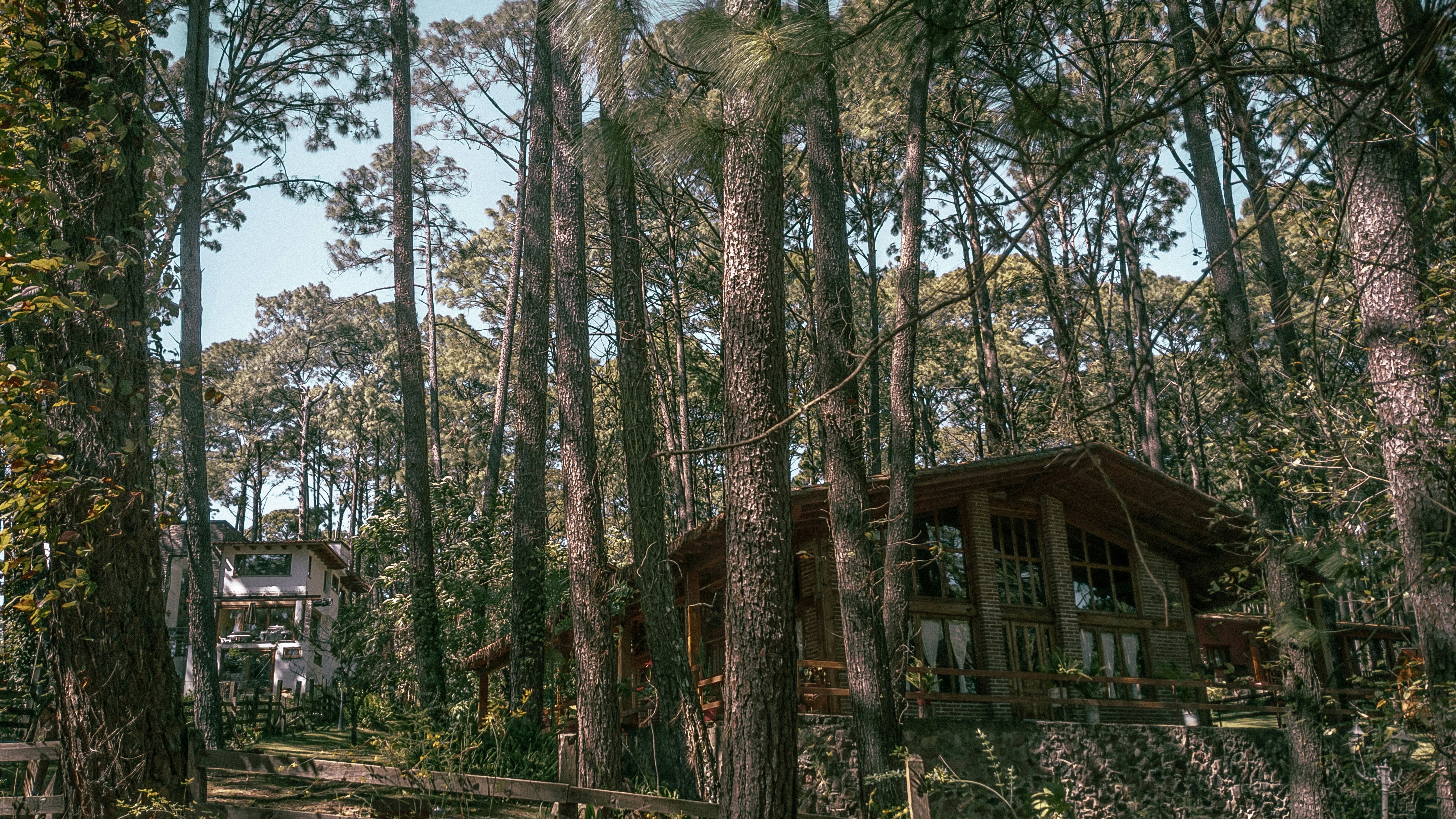 brown wooden house surrounded by trees during daytime, Cabin in Mazamitla Mexico