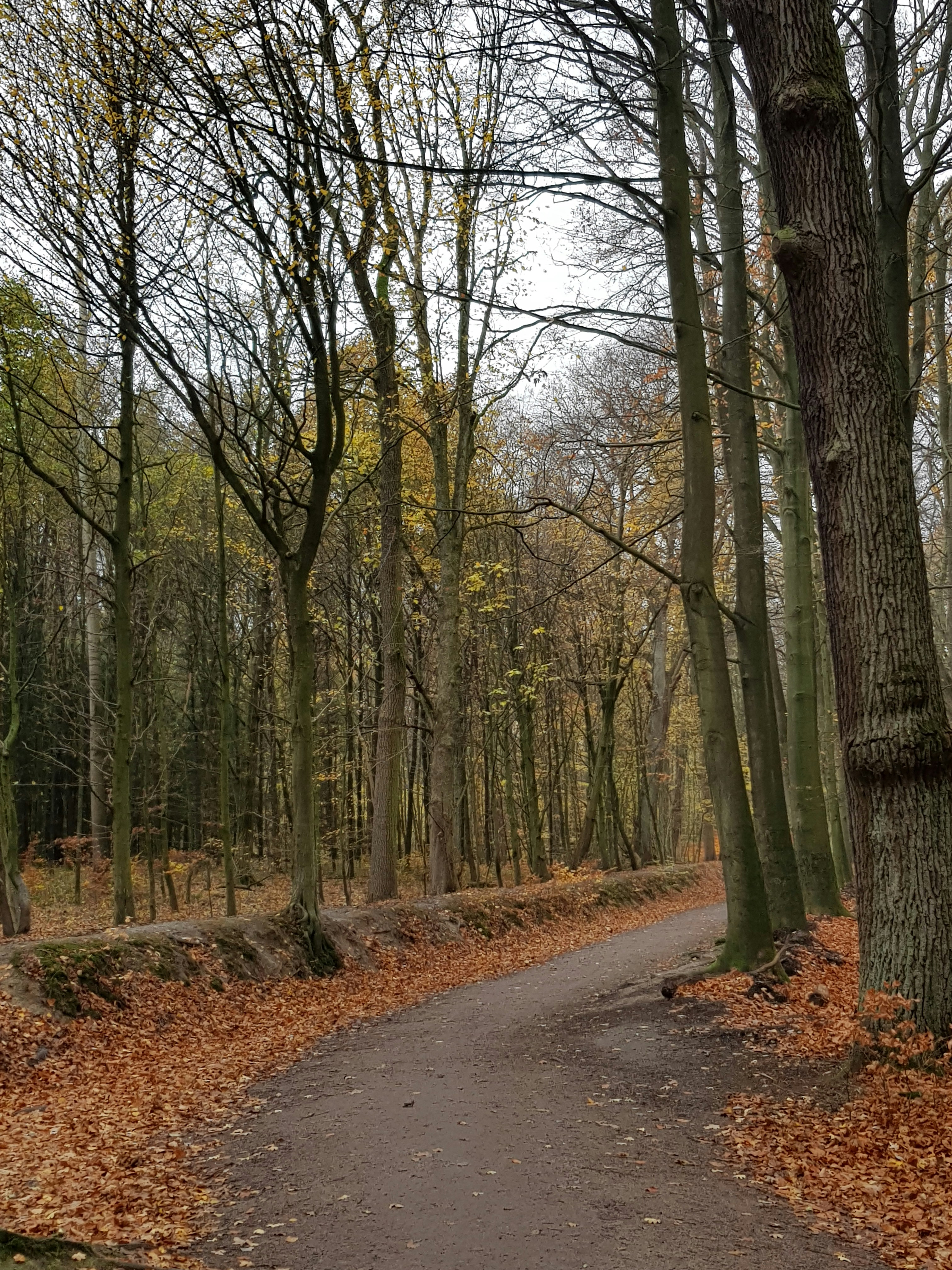 Photo by zhenyastuff