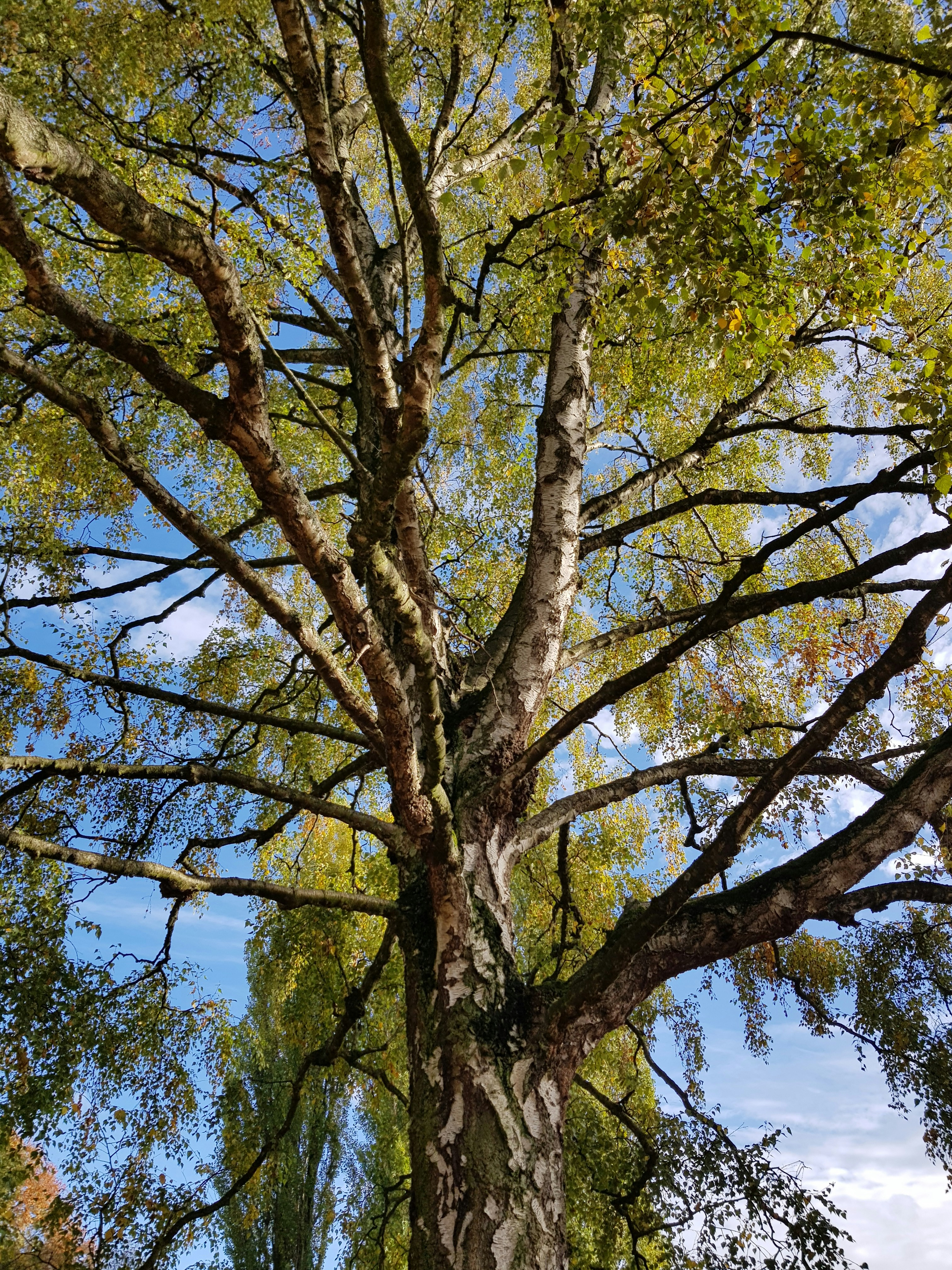 Photo by zhenyastuff