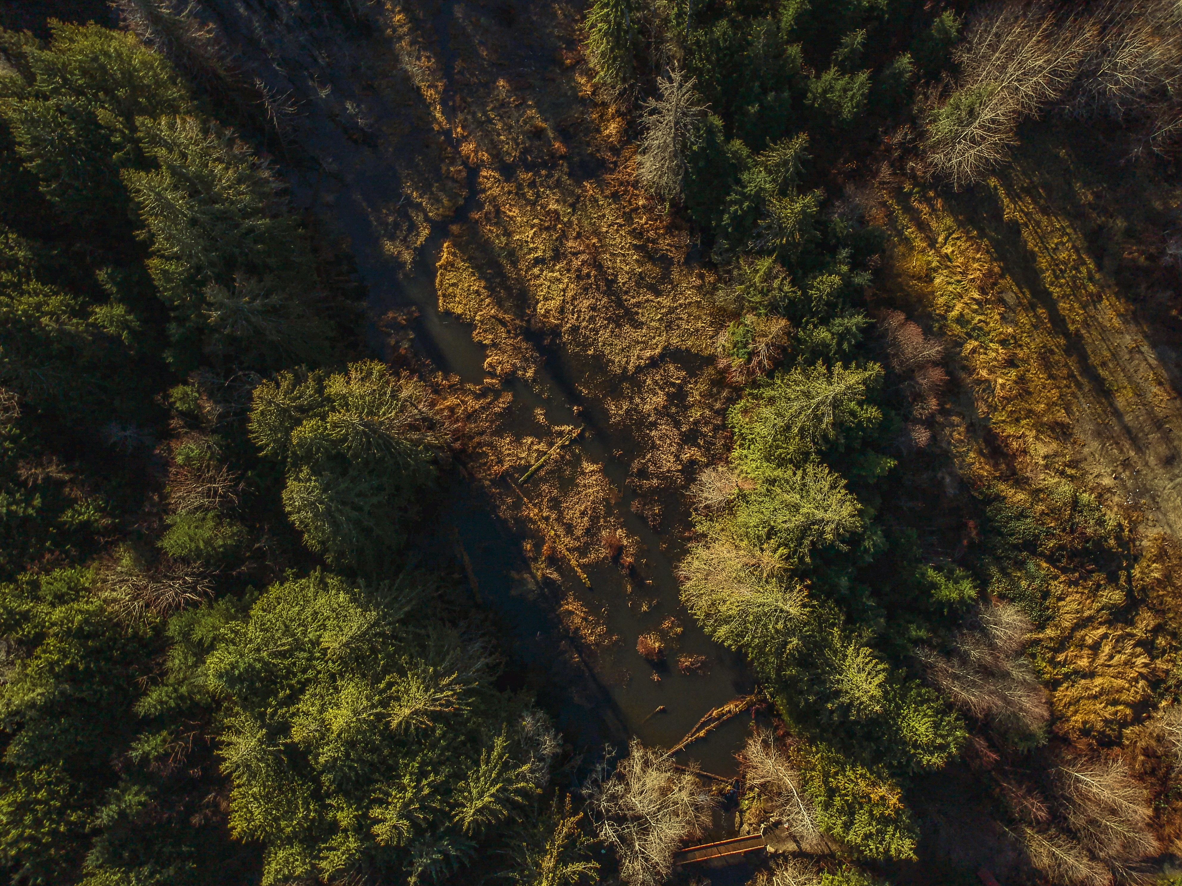 Photo by colefreeman