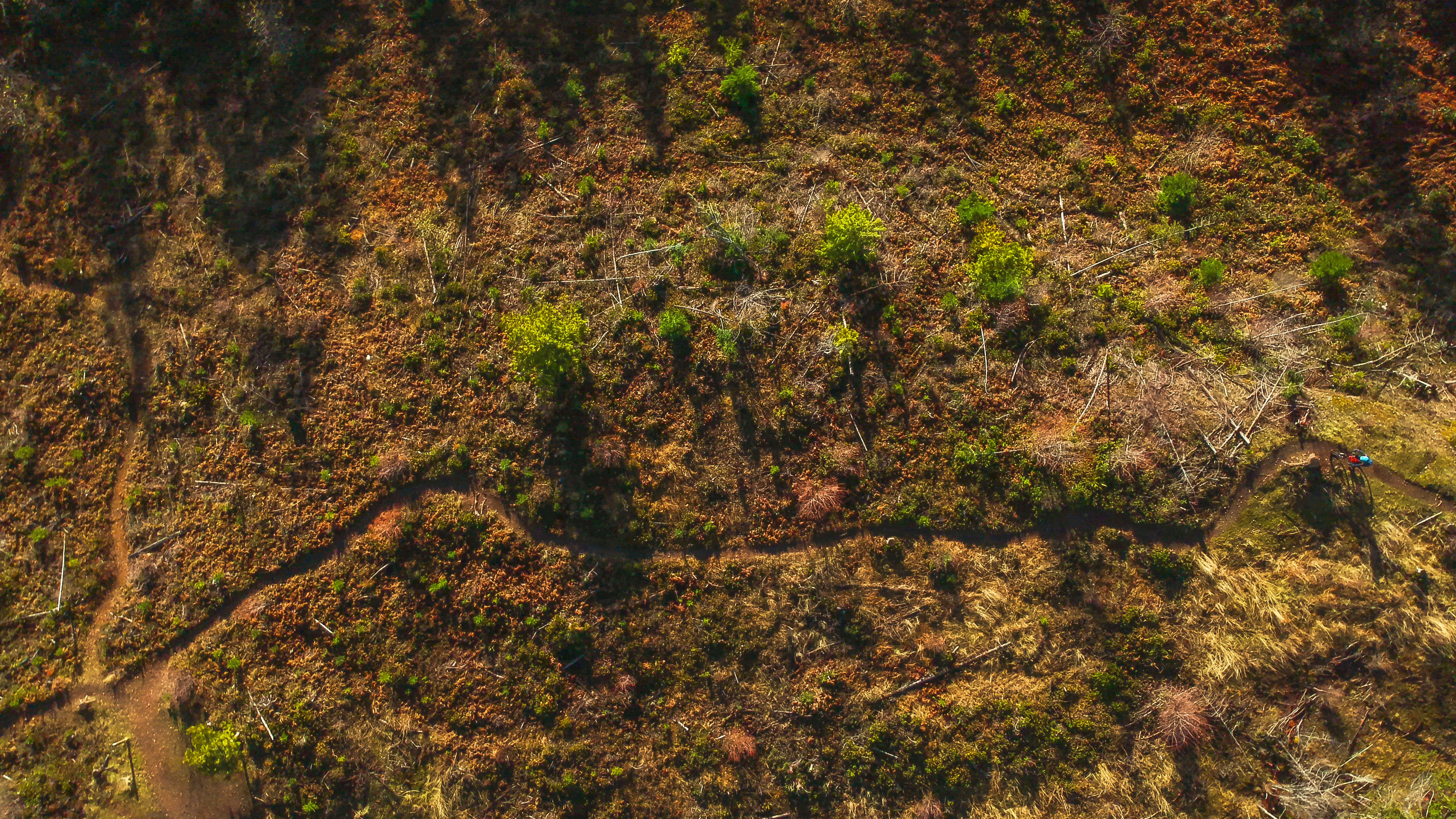 Photo by colefreeman