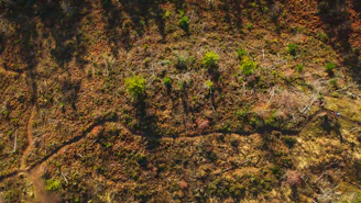 Aerial view showing the layout of several land sections with natural vegetation.
