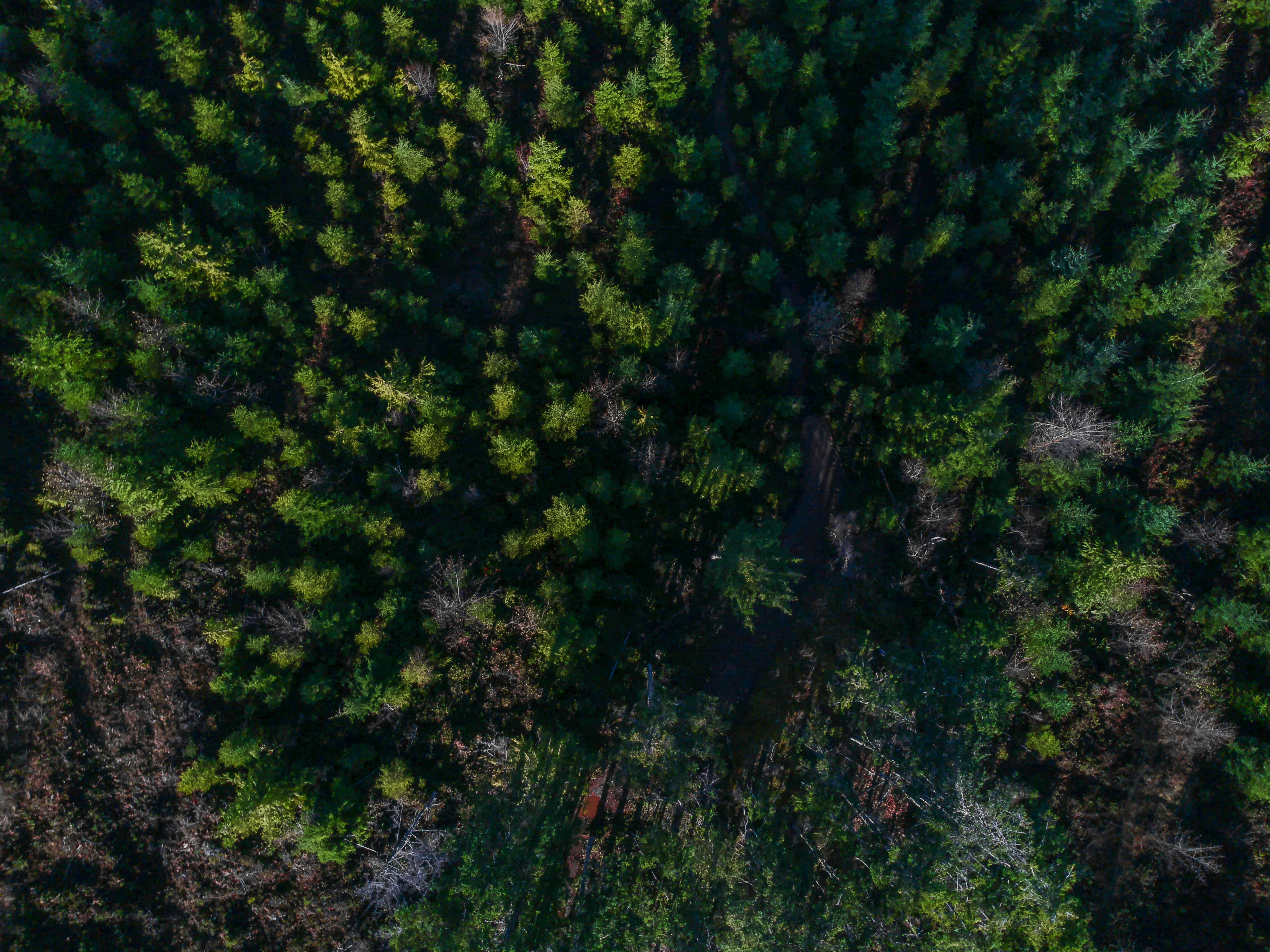 Photo by colefreeman