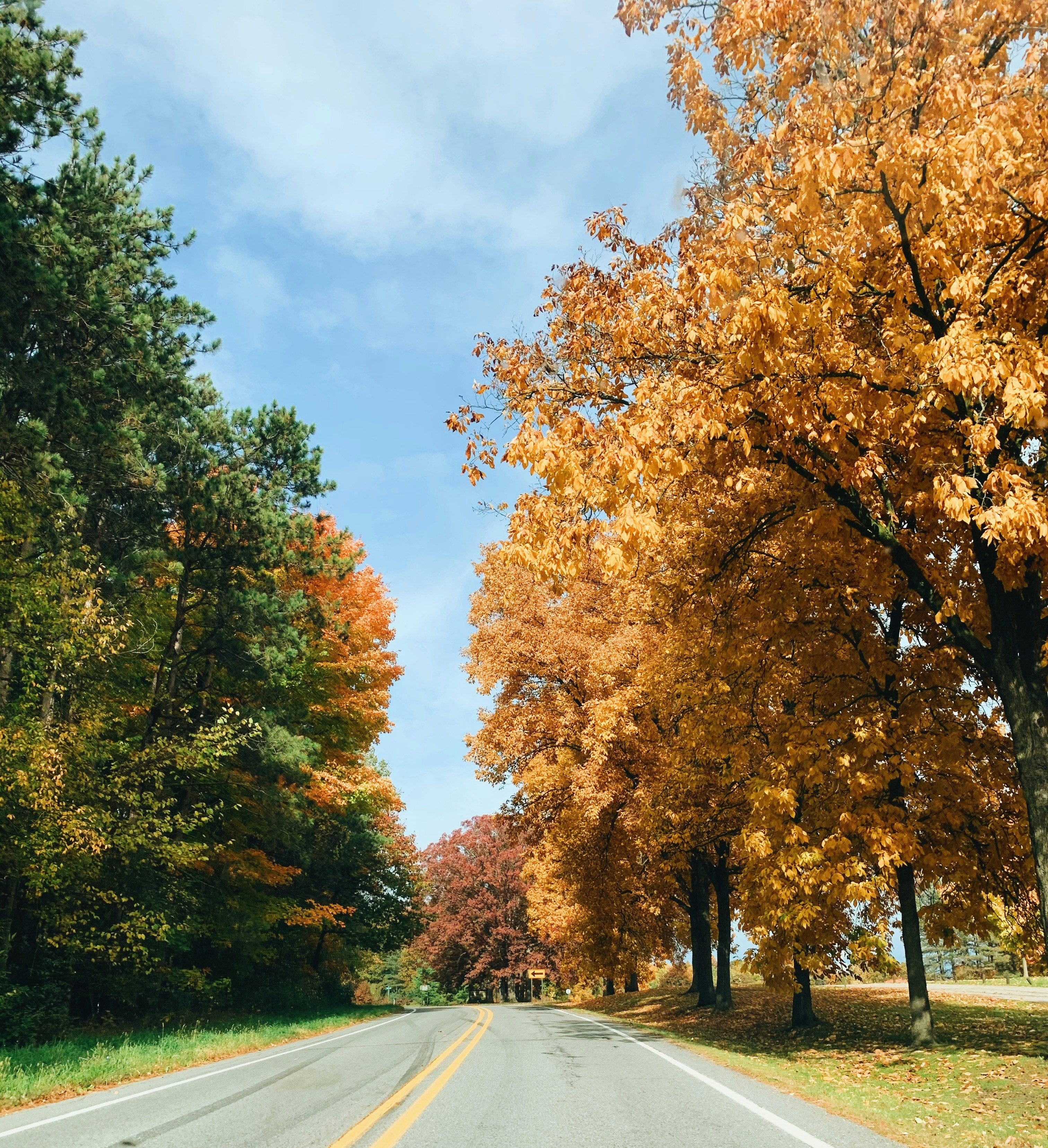 Photo by amberwineland