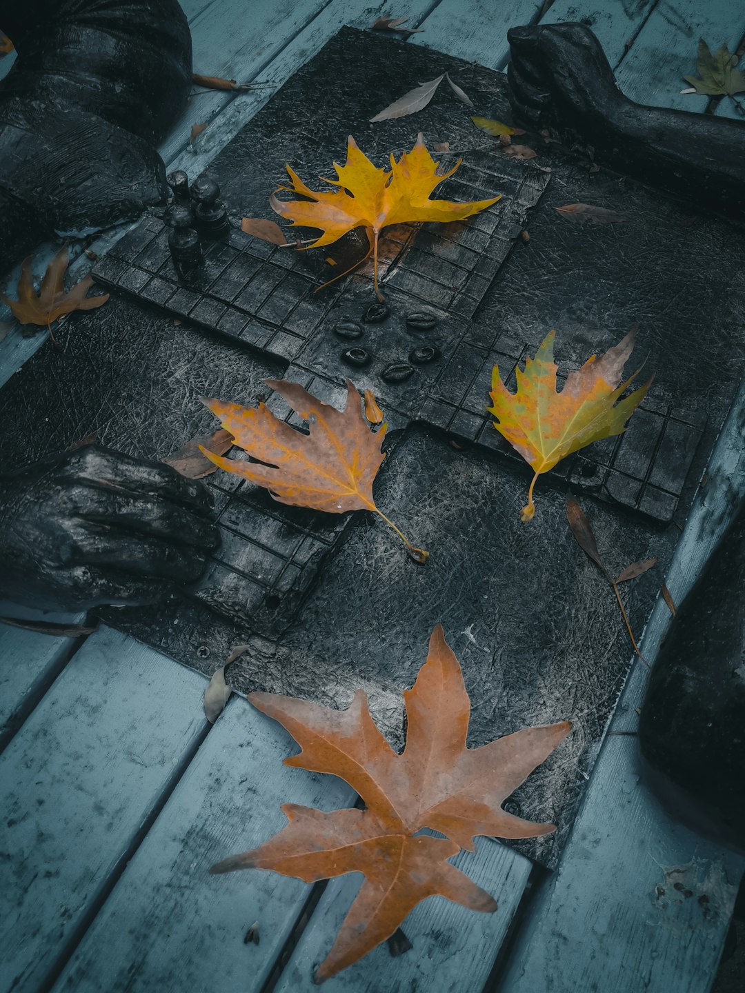 yellow maple leaves on black wooden surface