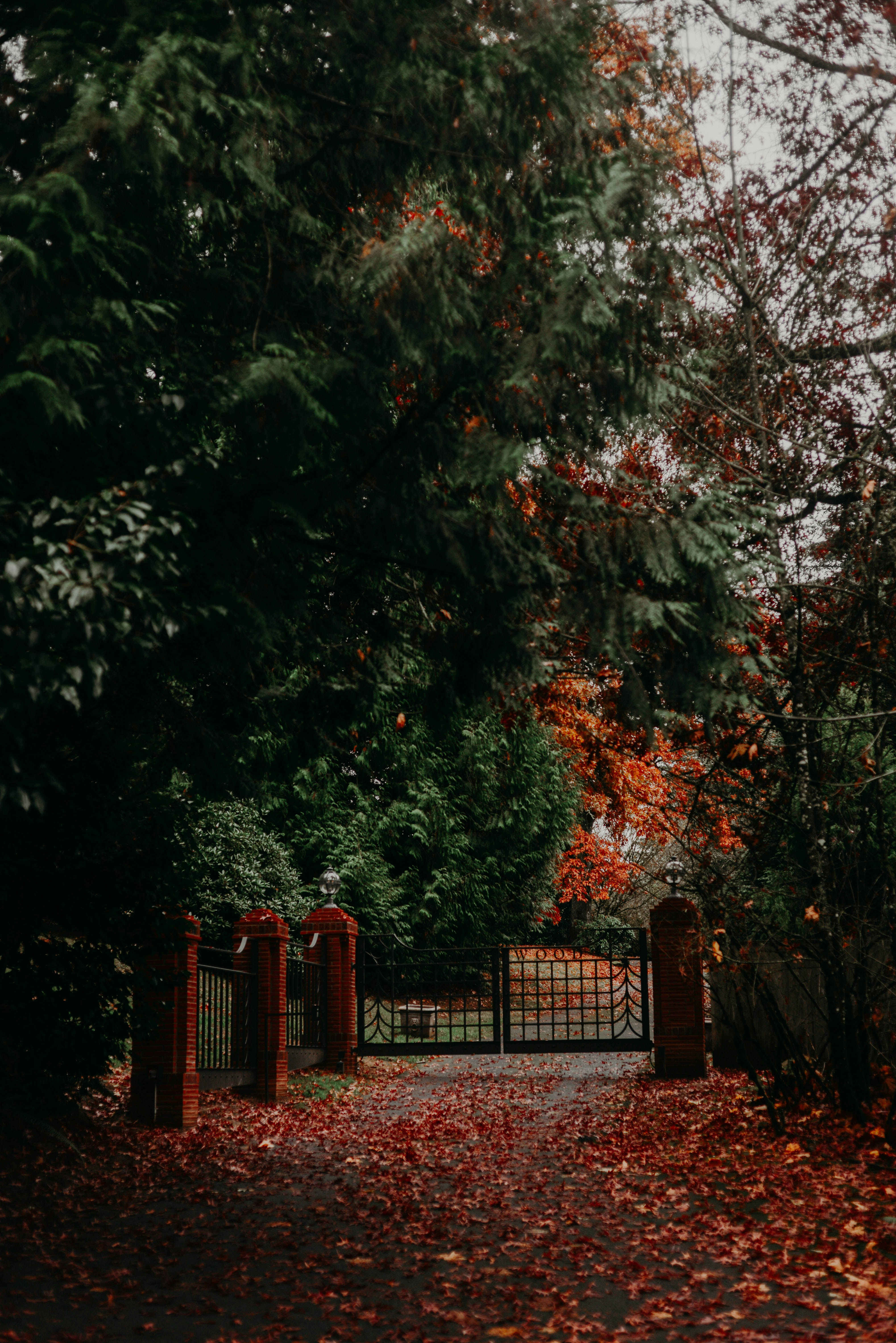 Photo by lorencutler