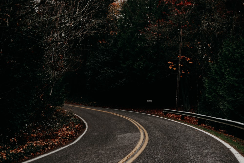 black asphalt road in between trees during daytime