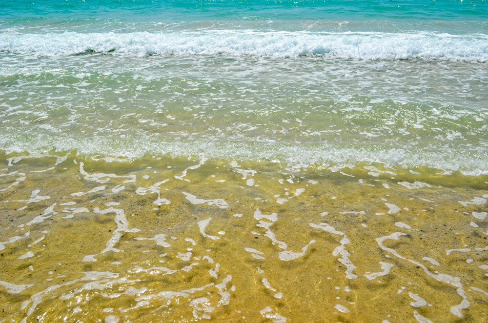 brown sand beach during daytime