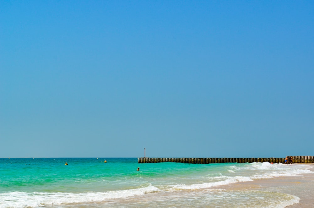 people on beach during daytime