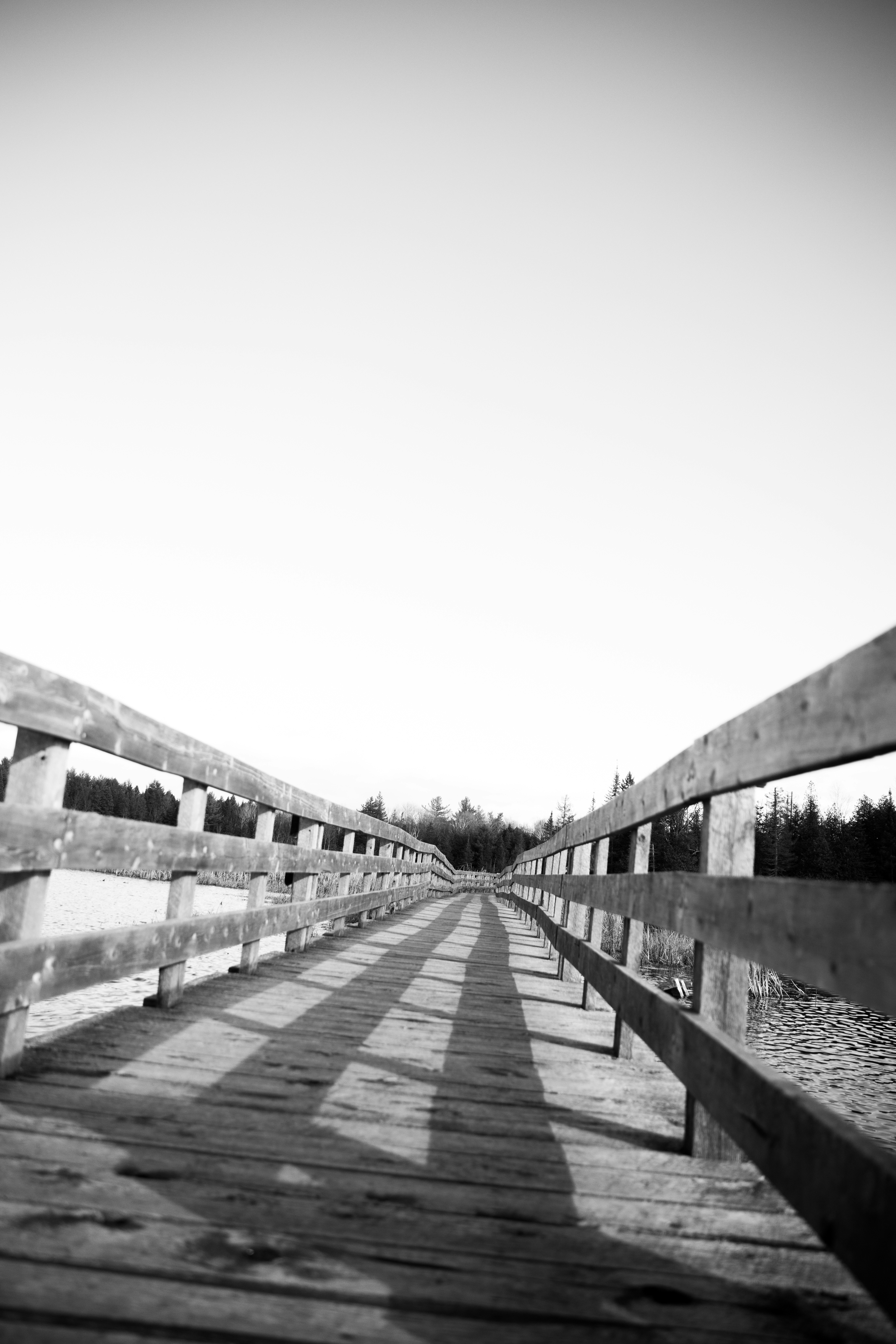 Photo by bradydrogers