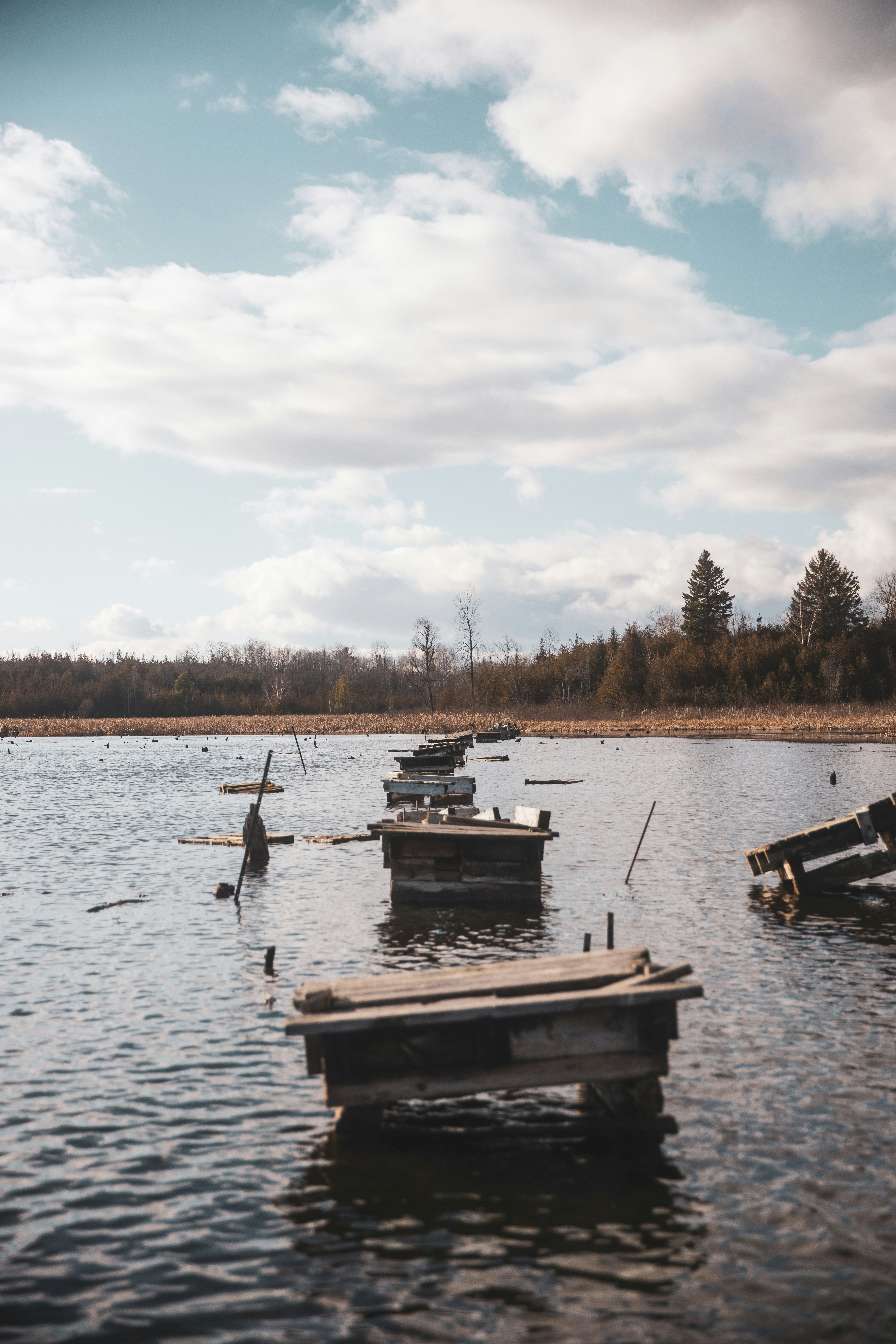 Photo by bradydrogers