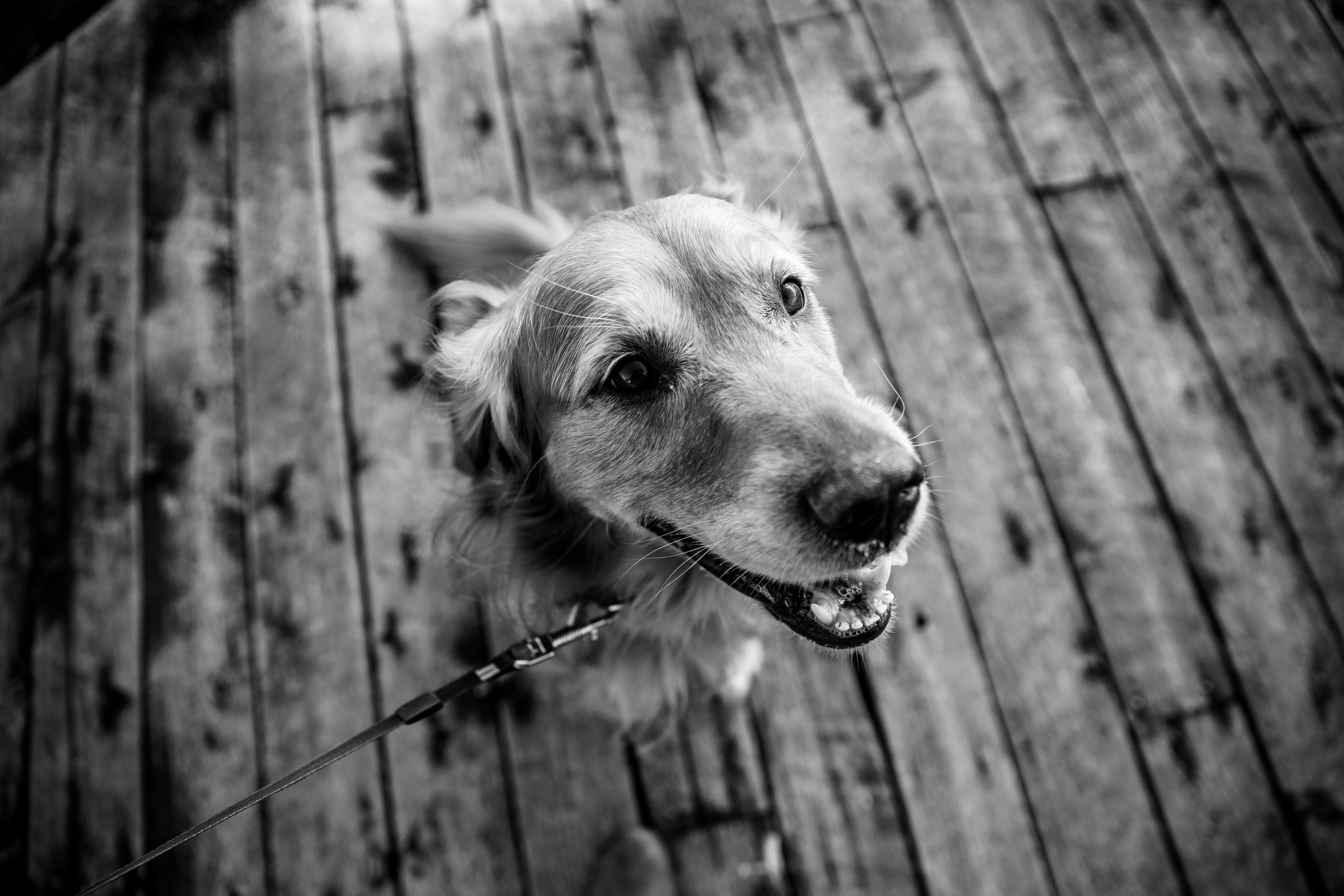 Photo by bradydrogers