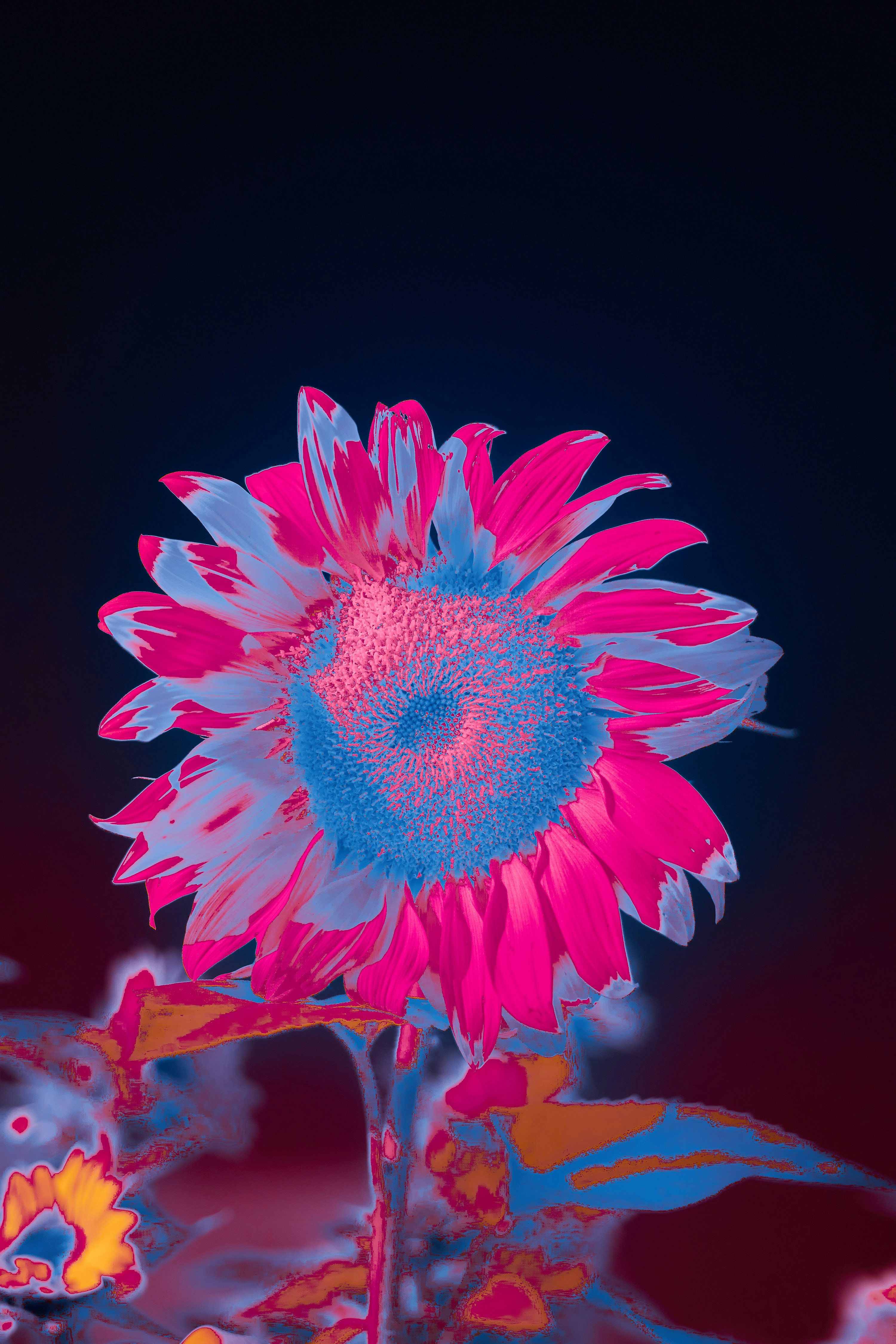 🪩🌿 It's New Year's Eve!! (Party Day 1) 🌿🪩