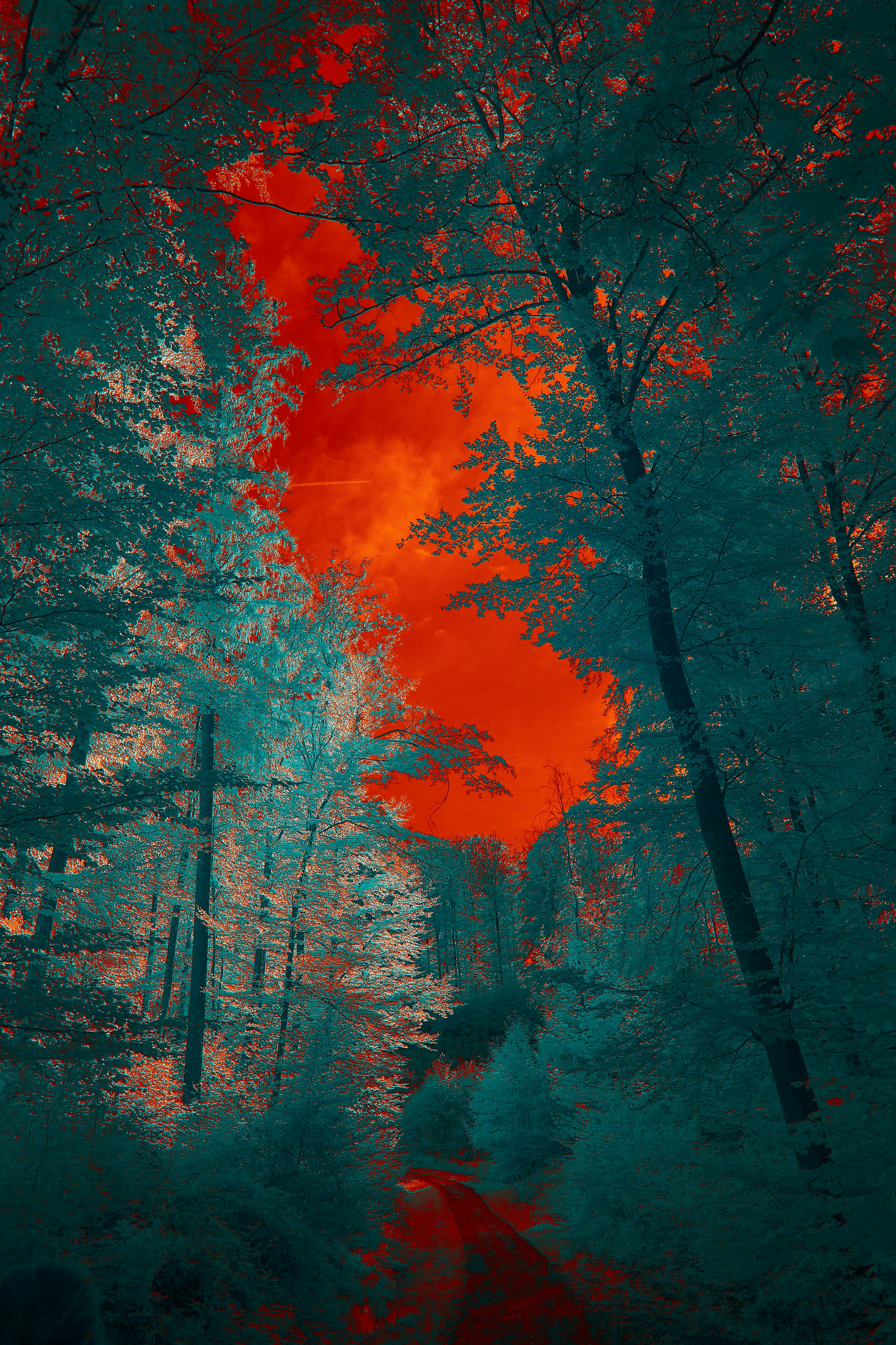 Photo by wolfgang_hasselmann