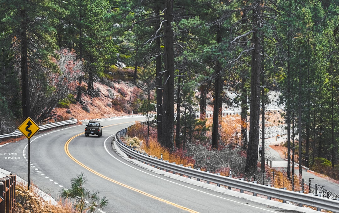 black car on road between trees during daytime