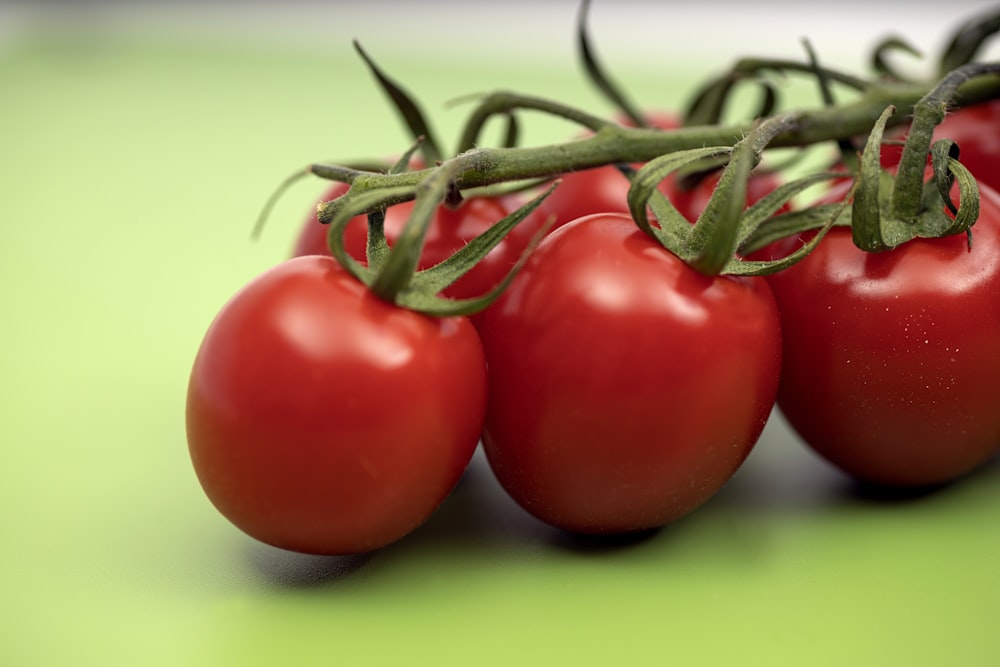 red tomato on green surface