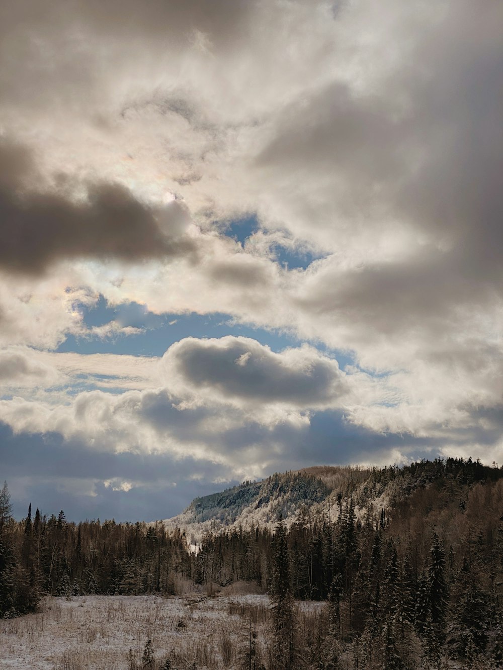 a snowy field with trees and a mountain in the background