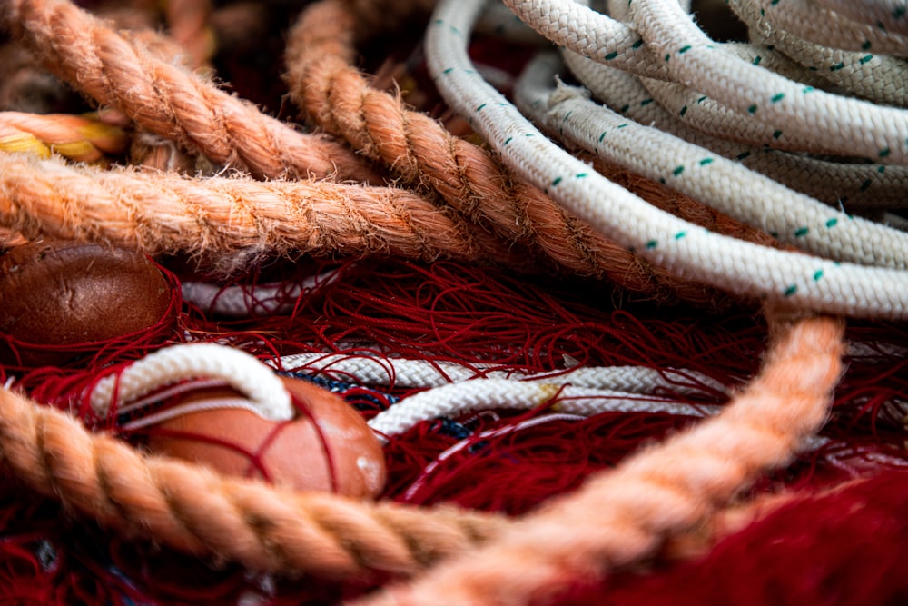 corde marron sur corde bleue et rouge