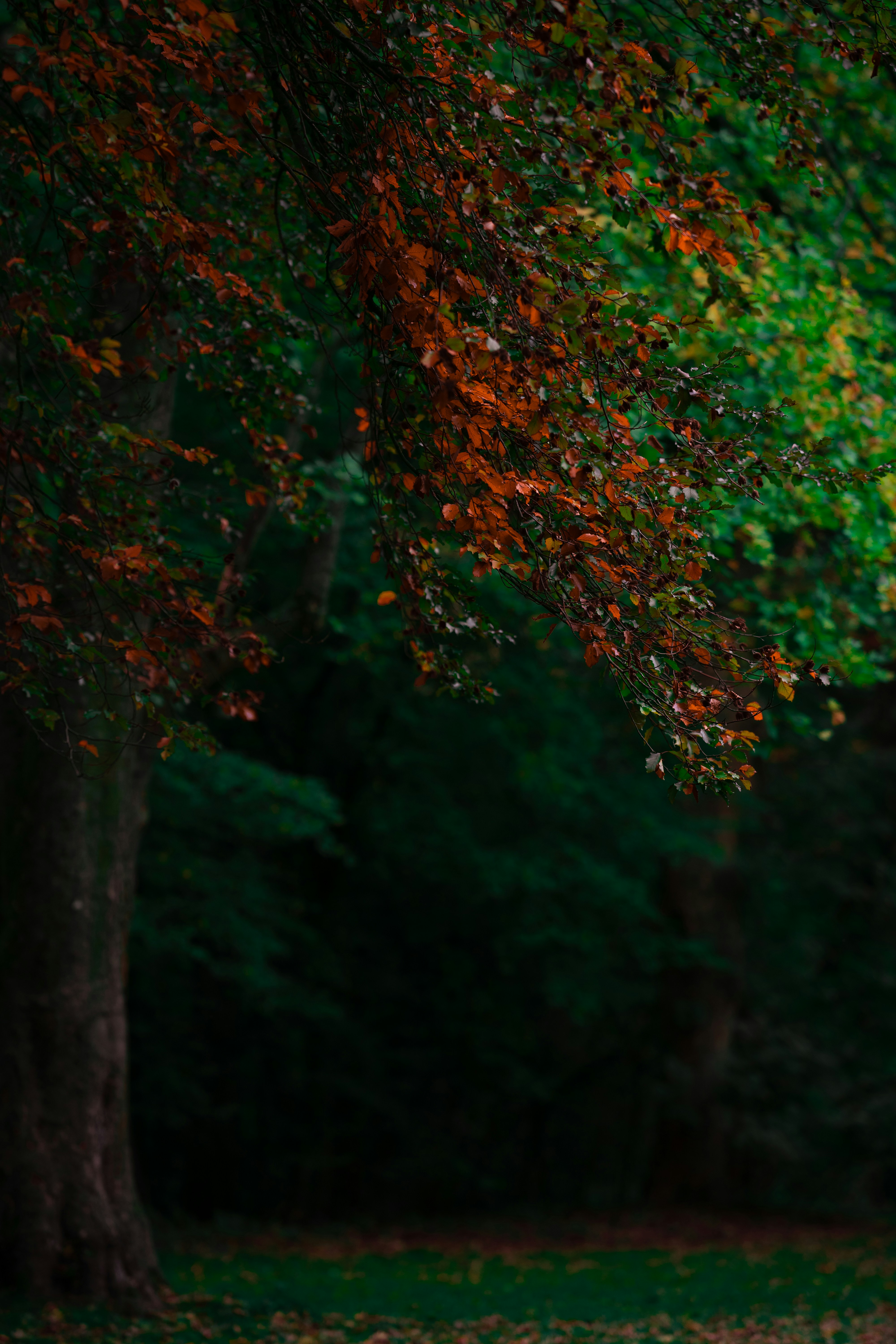 Photo by omarvellous14