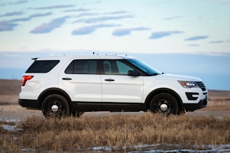 white suv on brown grass field under white clouds during daytime