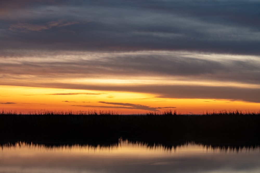 silhouette of trees during sunset