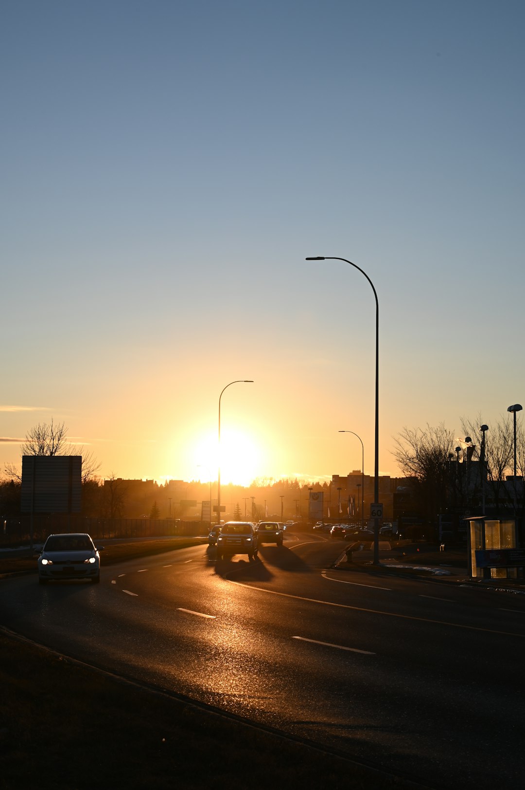 cars on road during sunset